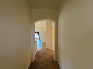 Arched Doorways Throughout