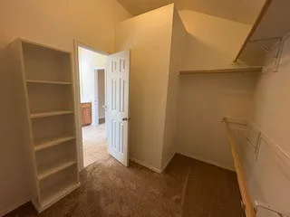 Primary Wraparound Closet with Bult-ins