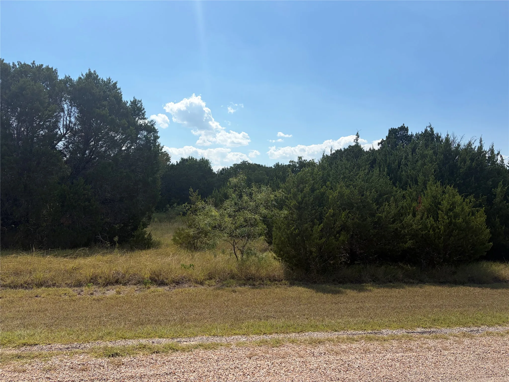 Unimproved Land For Sale in Hill County , 34045 Stonewood Drive, Whitney, Texas 76692, 0, 0, Garage spaces, 0 Sqft, built in 0, mls#21359152, Real Estate Agent in Whitney, Homes For Sale in Hill county, Homes For Sale in Whitney, Realtor in Whitney Texas, Real Estate Brokerage Independent Realty Texas, Luminita Cordes Realtor