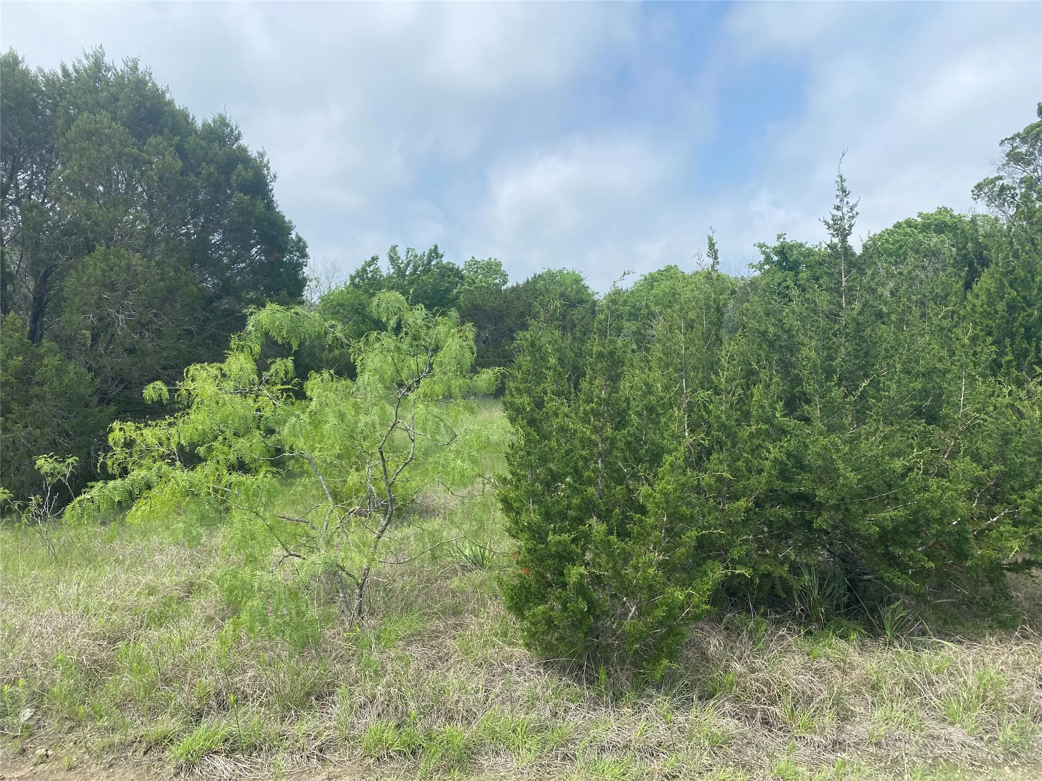 Unimproved Land For Sale in Hill County , 34045 Stonewood Drive, Whitney, Texas 76692, 0, 0, Garage spaces, 0 Sqft, built in 0, mls#21359152, Real Estate Agent in Whitney, Homes For Sale in Hill county, Homes For Sale in Whitney, Realtor in Whitney Texas, Real Estate Brokerage Independent Realty Texas, Luminita Cordes Realtor