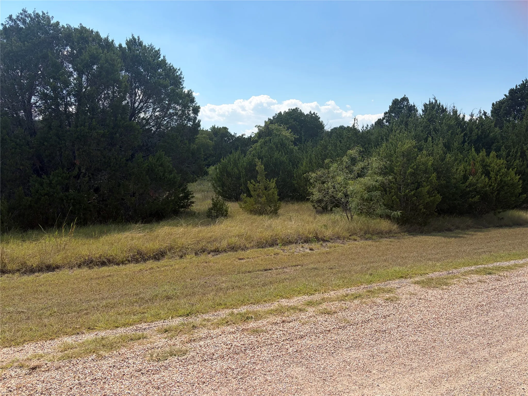 Unimproved Land For Sale in Hill County , 34045 Stonewood Drive, Whitney, Texas 76692, 0, 0, Garage spaces, 0 Sqft, built in 0, mls#21359152, Real Estate Agent in Whitney, Homes For Sale in Hill county, Homes For Sale in Whitney, Realtor in Whitney Texas, Real Estate Brokerage Independent Realty Texas, Luminita Cordes Realtor