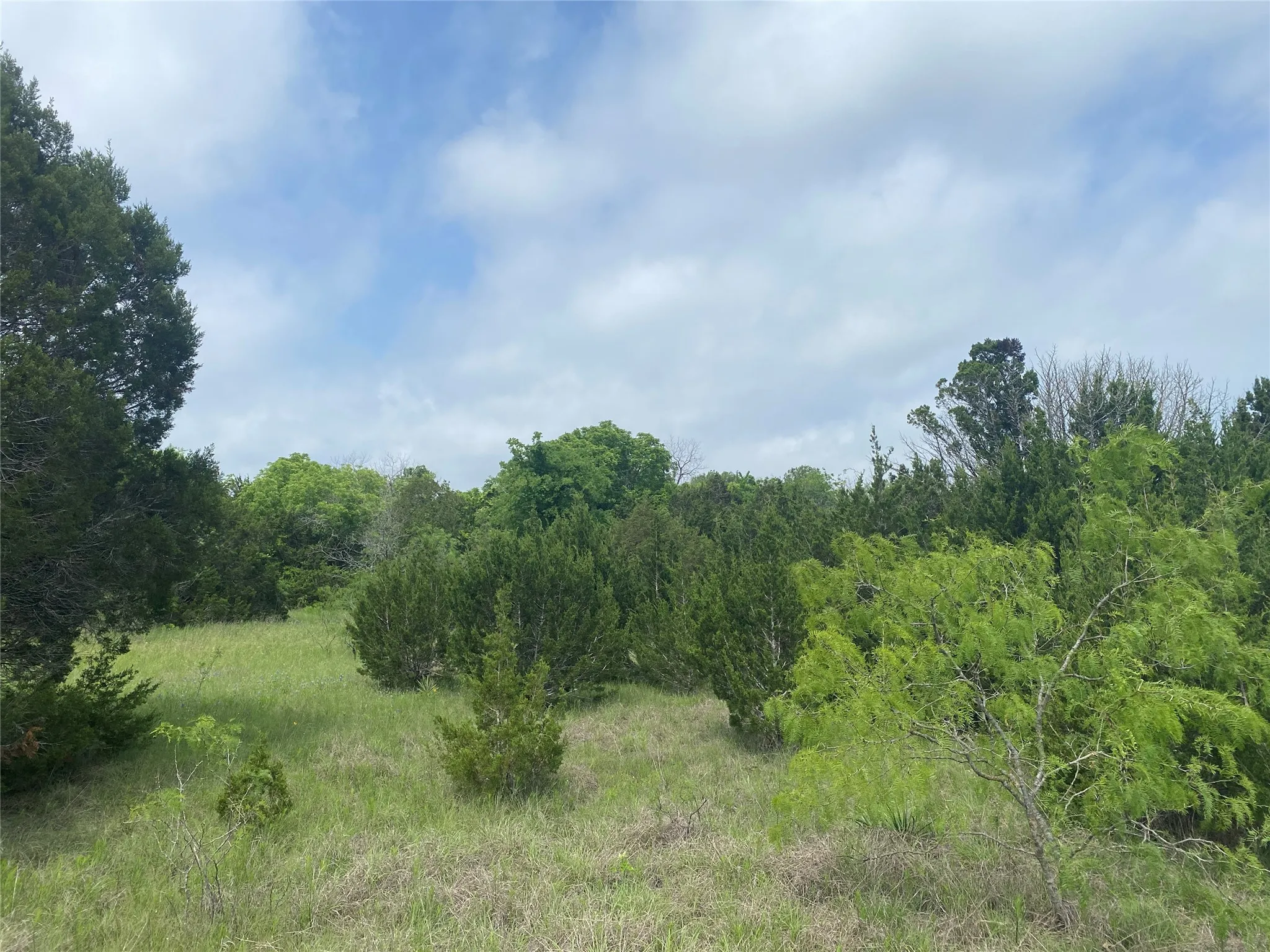 Unimproved Land For Sale in Hill County , 34045 Stonewood Drive, Whitney, Texas 76692, 0, 0, Garage spaces, 0 Sqft, built in 0, mls#21359152, Real Estate Agent in Whitney, Homes For Sale in Hill county, Homes For Sale in Whitney, Realtor in Whitney Texas, Real Estate Brokerage Independent Realty Texas, Luminita Cordes Realtor