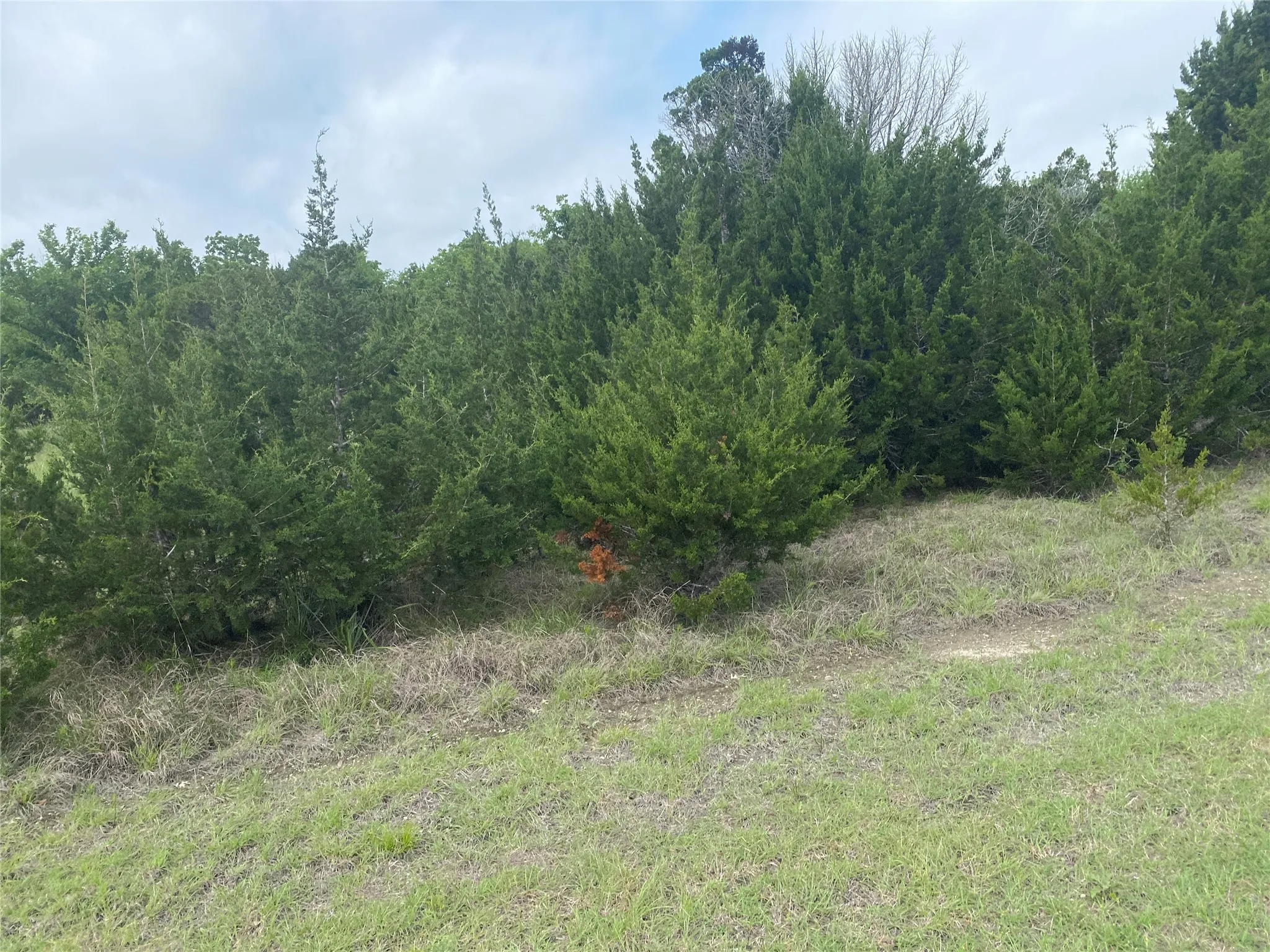 Unimproved Land For Sale in Hill County , 34045 Stonewood Drive, Whitney, Texas 76692, 0, 0, Garage spaces, 0 Sqft, built in 0, mls#21359152, Real Estate Agent in Whitney, Homes For Sale in Hill county, Homes For Sale in Whitney, Realtor in Whitney Texas, Real Estate Brokerage Independent Realty Texas, Luminita Cordes Realtor