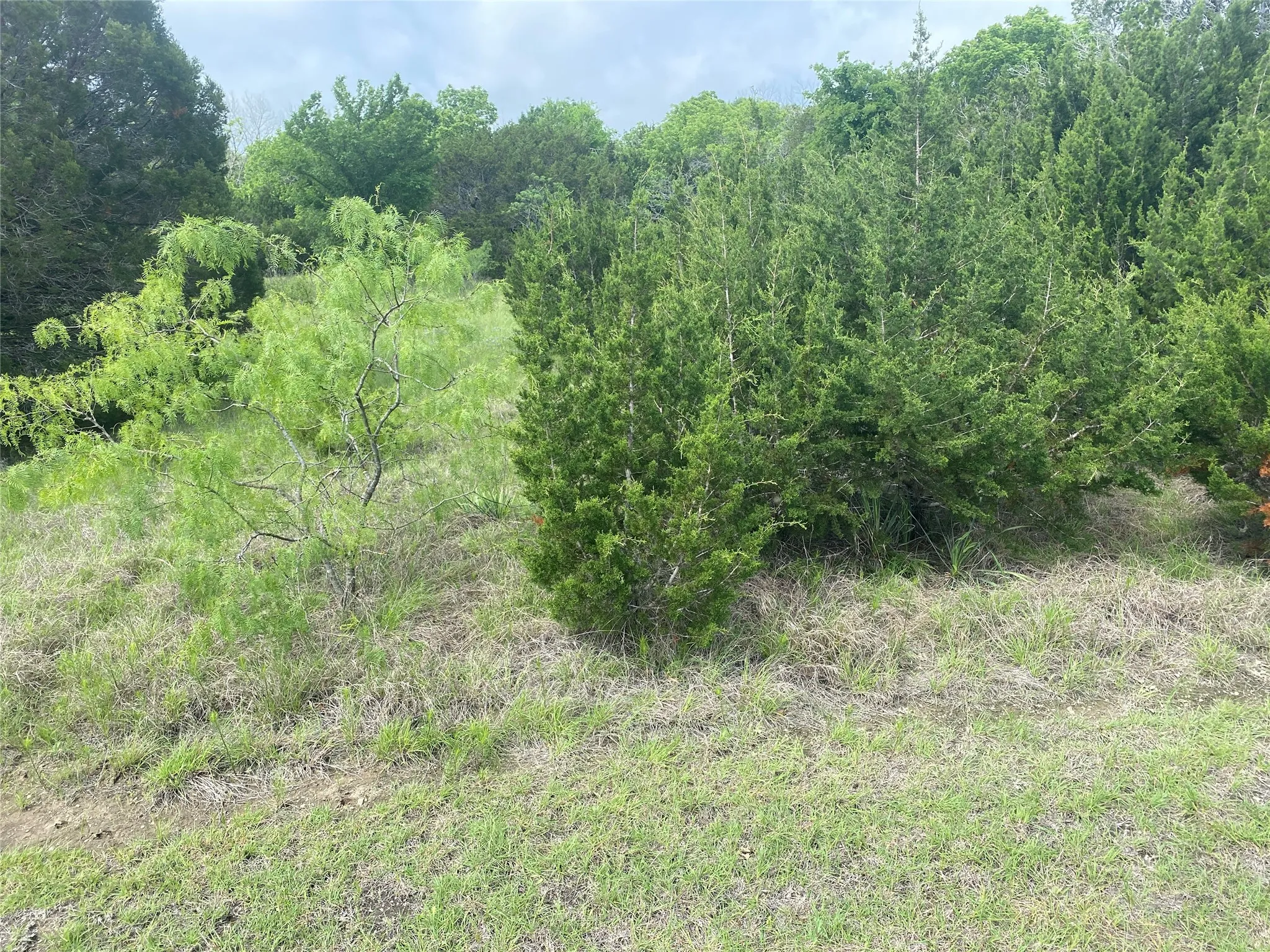 Unimproved Land For Sale in Hill County , 34045 Stonewood Drive, Whitney, Texas 76692, 0, 0, Garage spaces, 0 Sqft, built in 0, mls#21359152, Real Estate Agent in Whitney, Homes For Sale in Hill county, Homes For Sale in Whitney, Realtor in Whitney Texas, Real Estate Brokerage Independent Realty Texas, Luminita Cordes Realtor