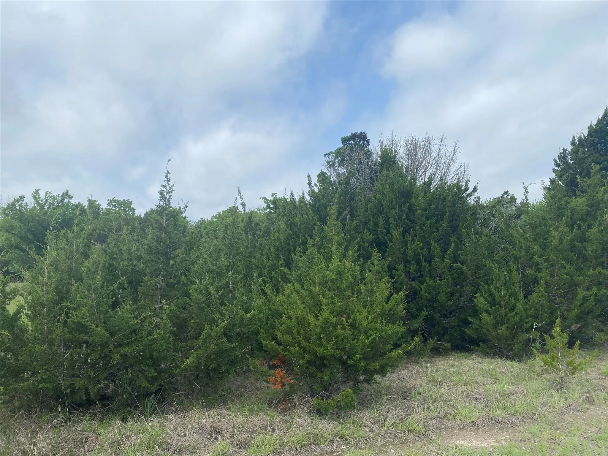 Unimproved Land For Sale in Hill County , 34045 Stonewood Drive, Whitney, Texas 76692, 0, 0, Garage spaces, 0 Sqft, built in 0, mls#21359152, Real Estate Agent in Whitney, Homes For Sale in Hill county, Homes For Sale in Whitney, Realtor in Whitney Texas, Real Estate Brokerage Independent Realty Texas, Luminita Cordes Realtor