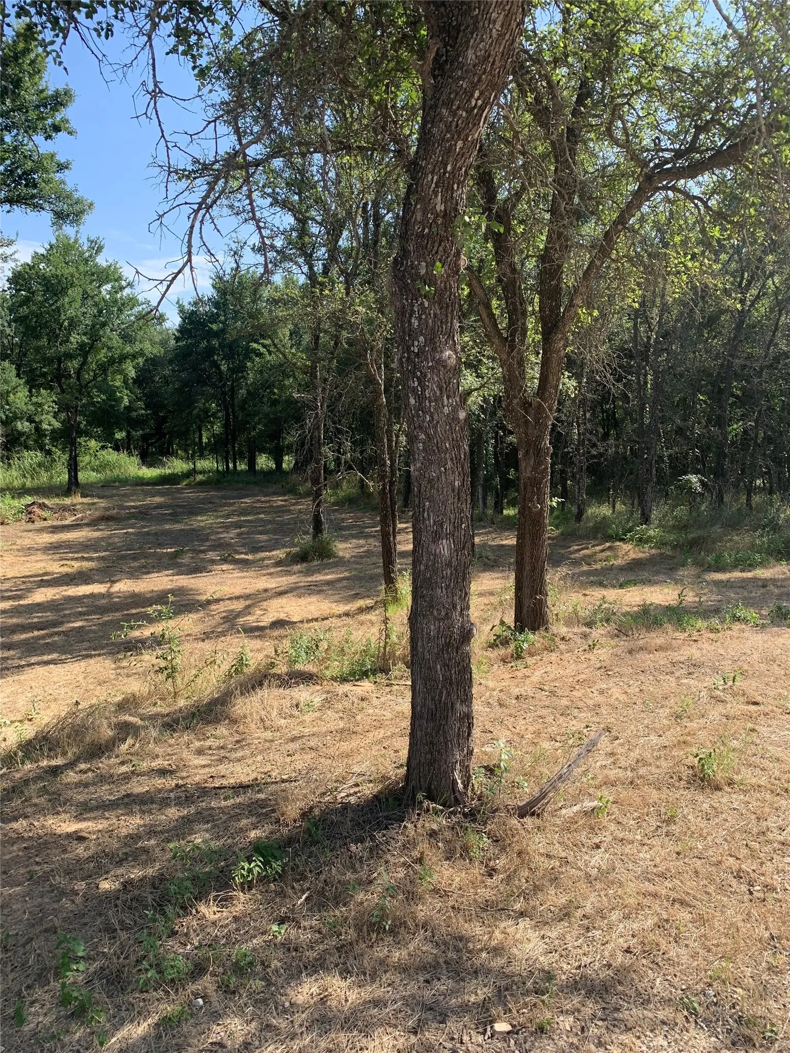 Unimproved Land For Sale in Wise County , Lot 2 Cimmarron Trail, Runaway Bay, Texas 76426, 0, 0, Garage spaces, 0 Sqft, built in 0, Price $25,000, mls#21359159, Real Estate Agent in Runaway Bay, Homes For Sale in Wise county, Homes For Sale in Runaway Bay, Realtor in Runaway Bay Texas, Real Estate Brokerage Independent Realty Texas, Luminita Cordes Realtor