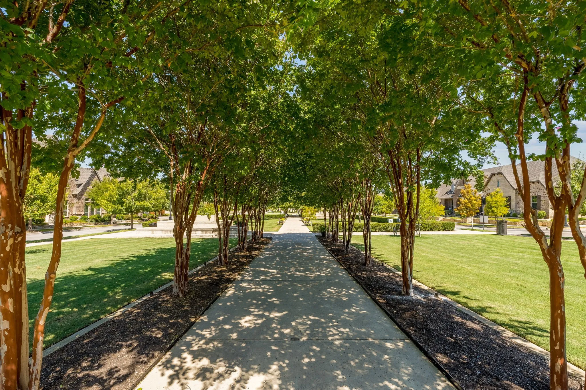 Townhouse For Sale in Tarrant County , 8313 Cotton Belt Lane, North Richland Hills, Texas 76182, 3 Bedroom, 3 Bathroom, 2 Garage spaces, 1,888 Sqft, built in 2019, mls#21355021, Real Estate Agent in North Richland Hills, Homes For Sale in Tarrant county, Homes For Sale in North Richland Hills, Realtor in North Richland Hills Texas, Real Estate Brokerage Independent Realty Texas, Luminita Cordes Realtor