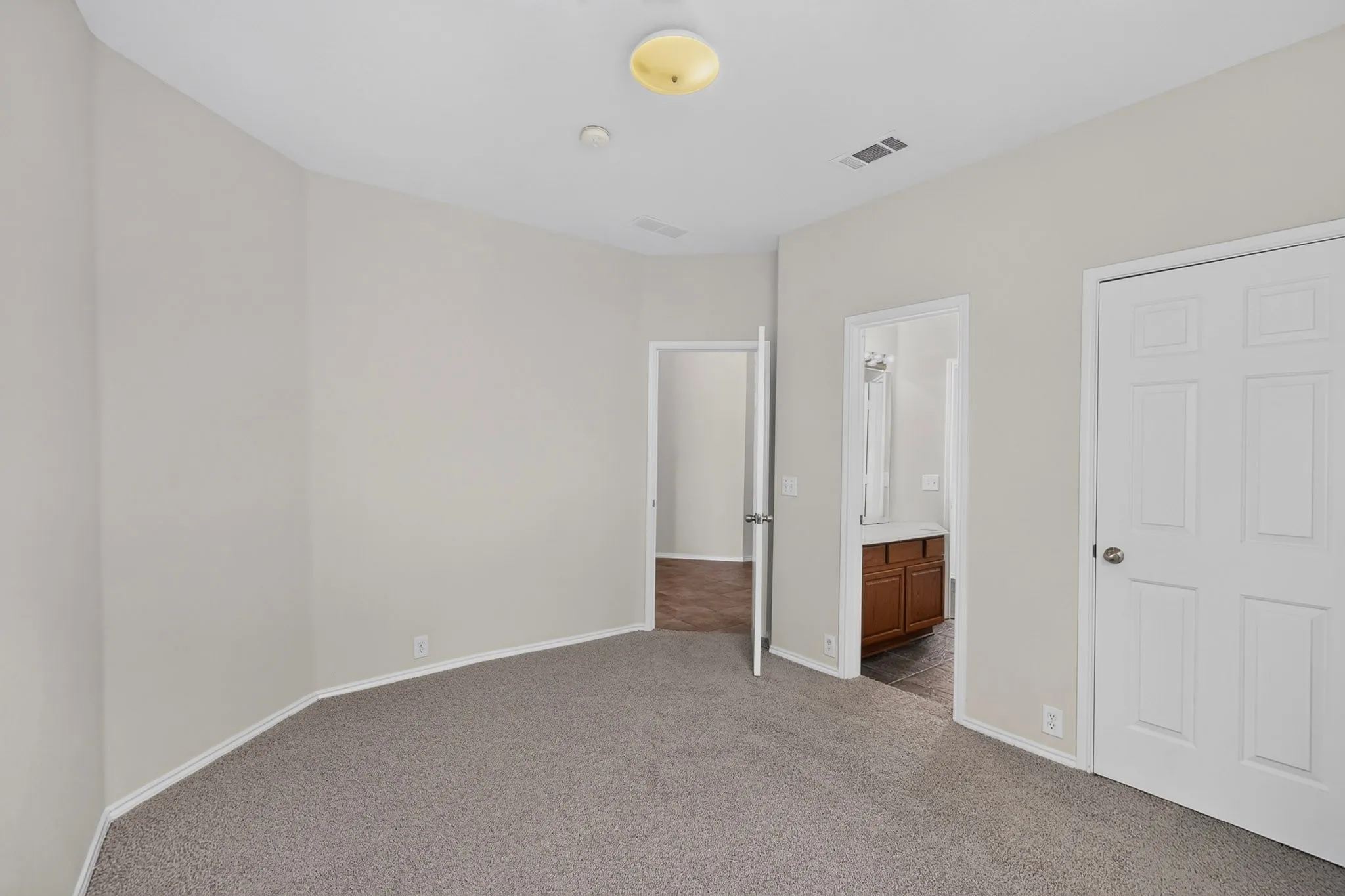 Carpeted flooring, light neutral wall tones, interior paneled doors, ceiling-mounted light fixture, and a built-in wood-finish vanity with a countertop