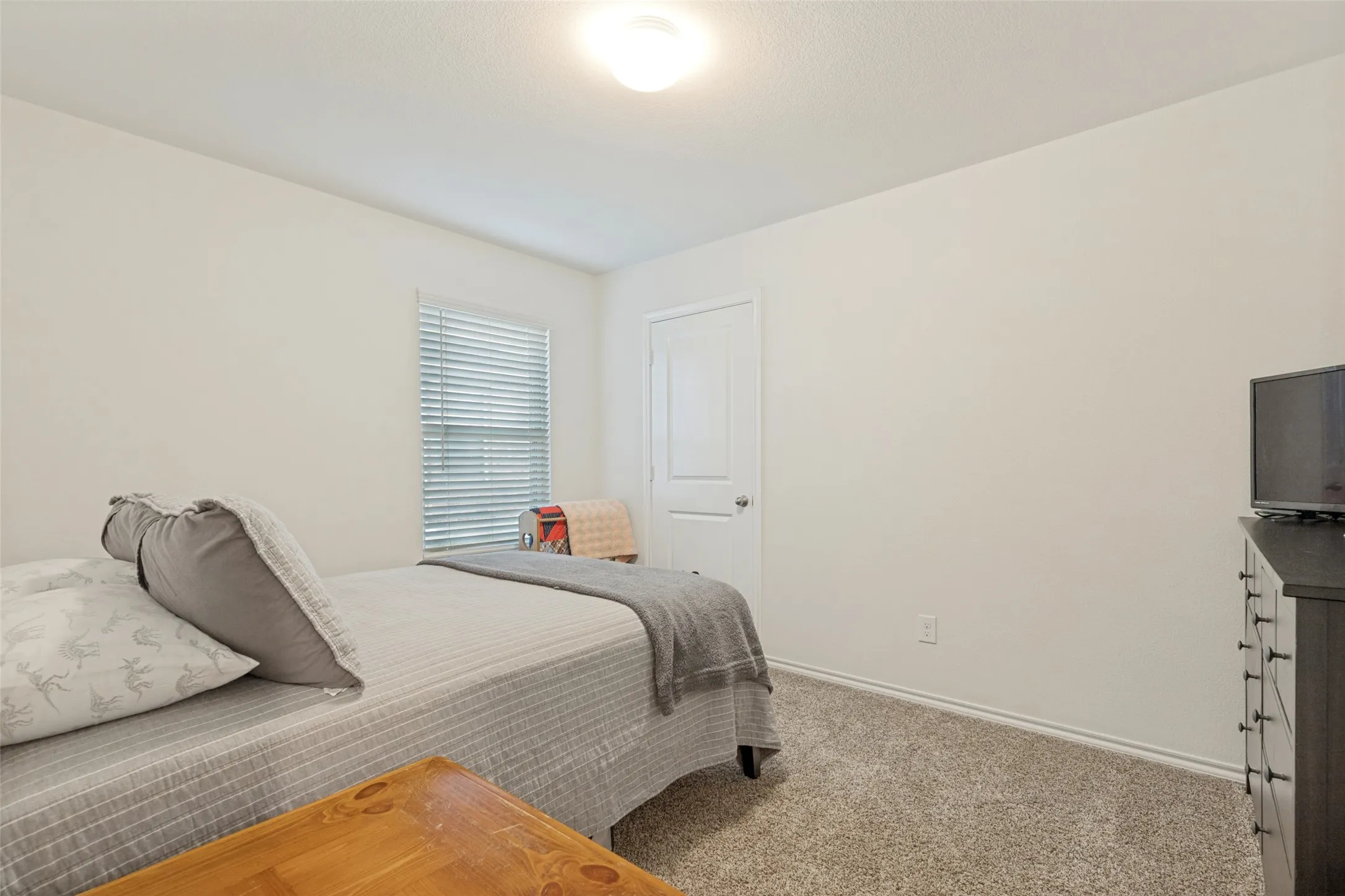 Neutral wall color, overhead lighting fixture, window with blinds, paneled interior door, and carpet flooring