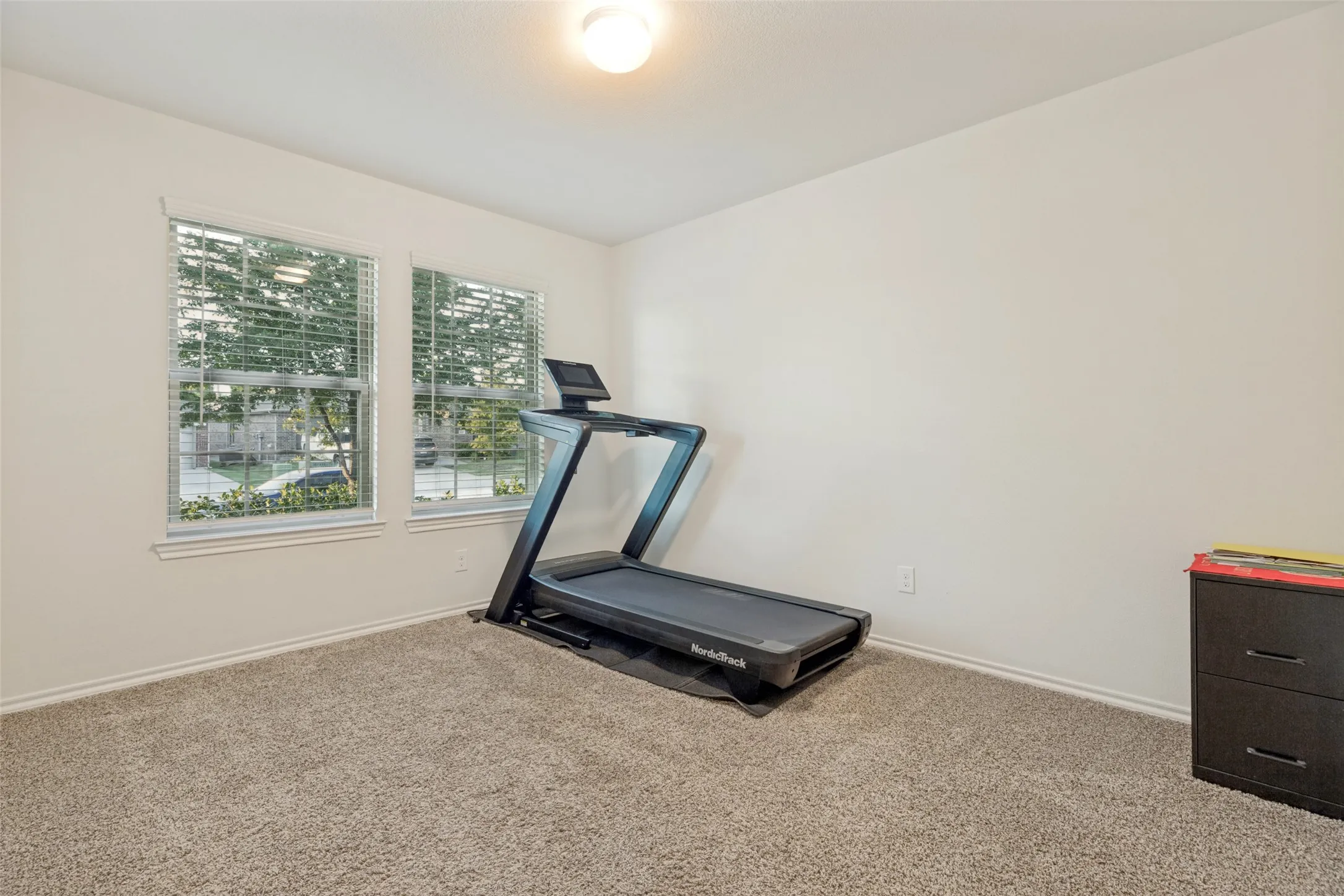 Dual windows with blinds, neutral wall tones, and plush carpeting