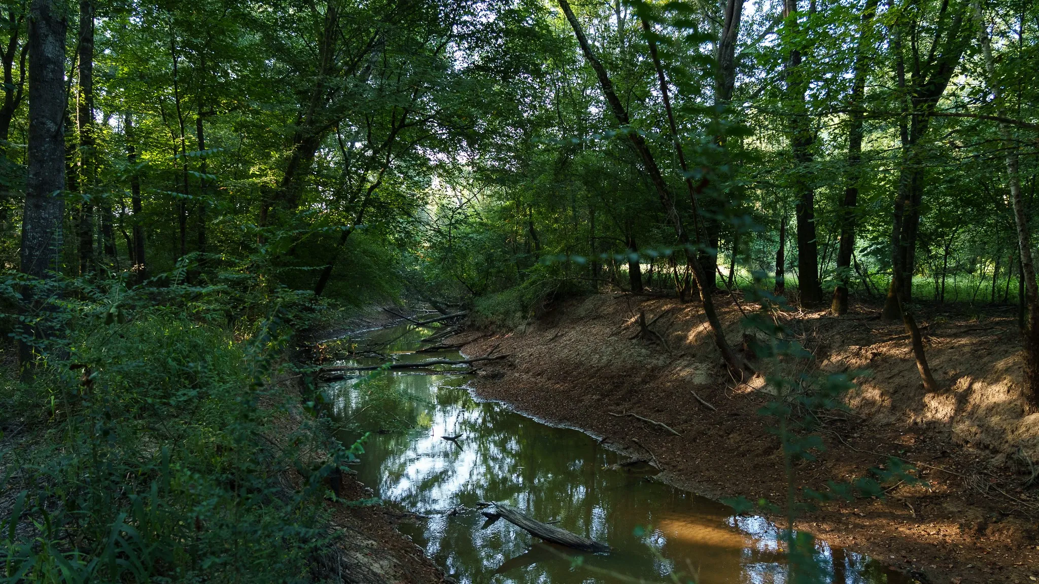 Farm For Sale in Rusk County , TBD Cr 461, Laneville, Texas 75667, 1 Bedroom, 2 Bathroom, 1 Garage spaces, 2,000 Sqft, built in 2009, Price $1,600,000, mls#21337099, Real Estate Agent in Laneville, Homes For Sale in Rusk county, Homes For Sale in Laneville, Realtor in Laneville Texas, Real Estate Brokerage Independent Realty Texas, Luminita Cordes Realtor