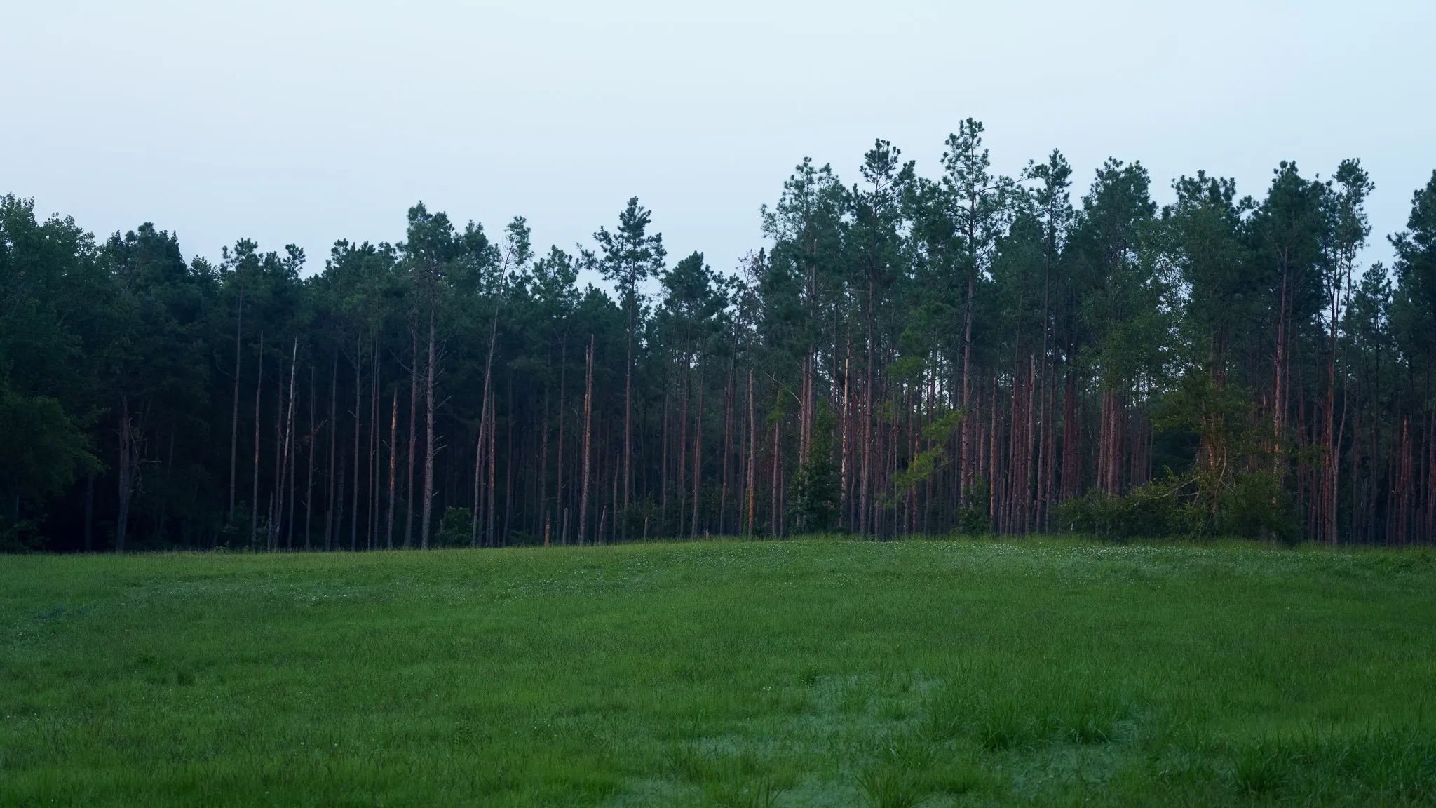 Farm For Sale in Rusk County , TBD Cr 461, Laneville, Texas 75667, 1 Bedroom, 2 Bathroom, 1 Garage spaces, 2,000 Sqft, built in 2009, Price $1,600,000, mls#21337099, Real Estate Agent in Laneville, Homes For Sale in Rusk county, Homes For Sale in Laneville, Realtor in Laneville Texas, Real Estate Brokerage Independent Realty Texas, Luminita Cordes Realtor