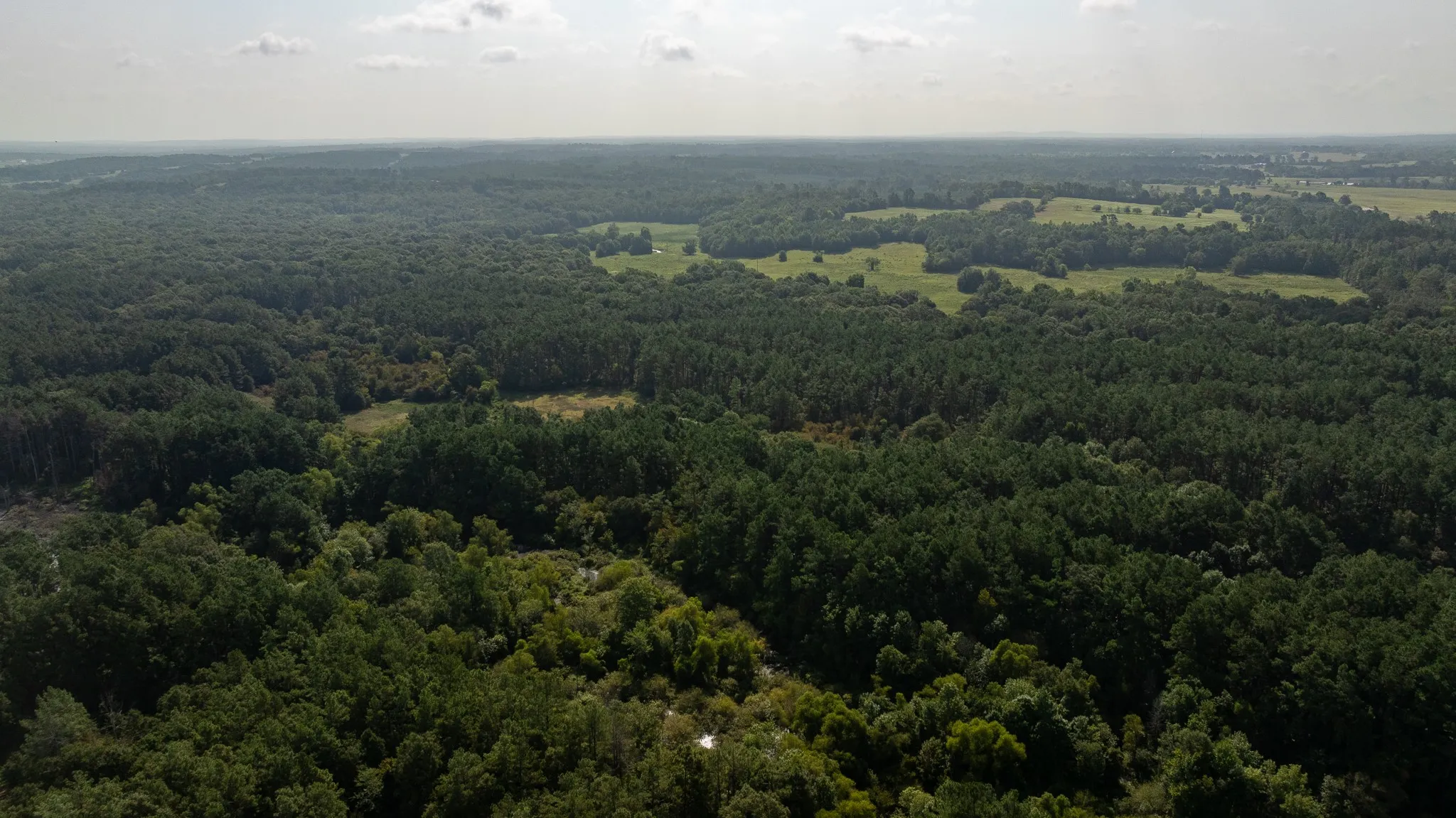 Farm For Sale in Rusk County , TBD Cr 461, Laneville, Texas 75667, 1 Bedroom, 2 Bathroom, 1 Garage spaces, 2,000 Sqft, built in 2009, Price $1,600,000, mls#21337099, Real Estate Agent in Laneville, Homes For Sale in Rusk county, Homes For Sale in Laneville, Realtor in Laneville Texas, Real Estate Brokerage Independent Realty Texas, Luminita Cordes Realtor