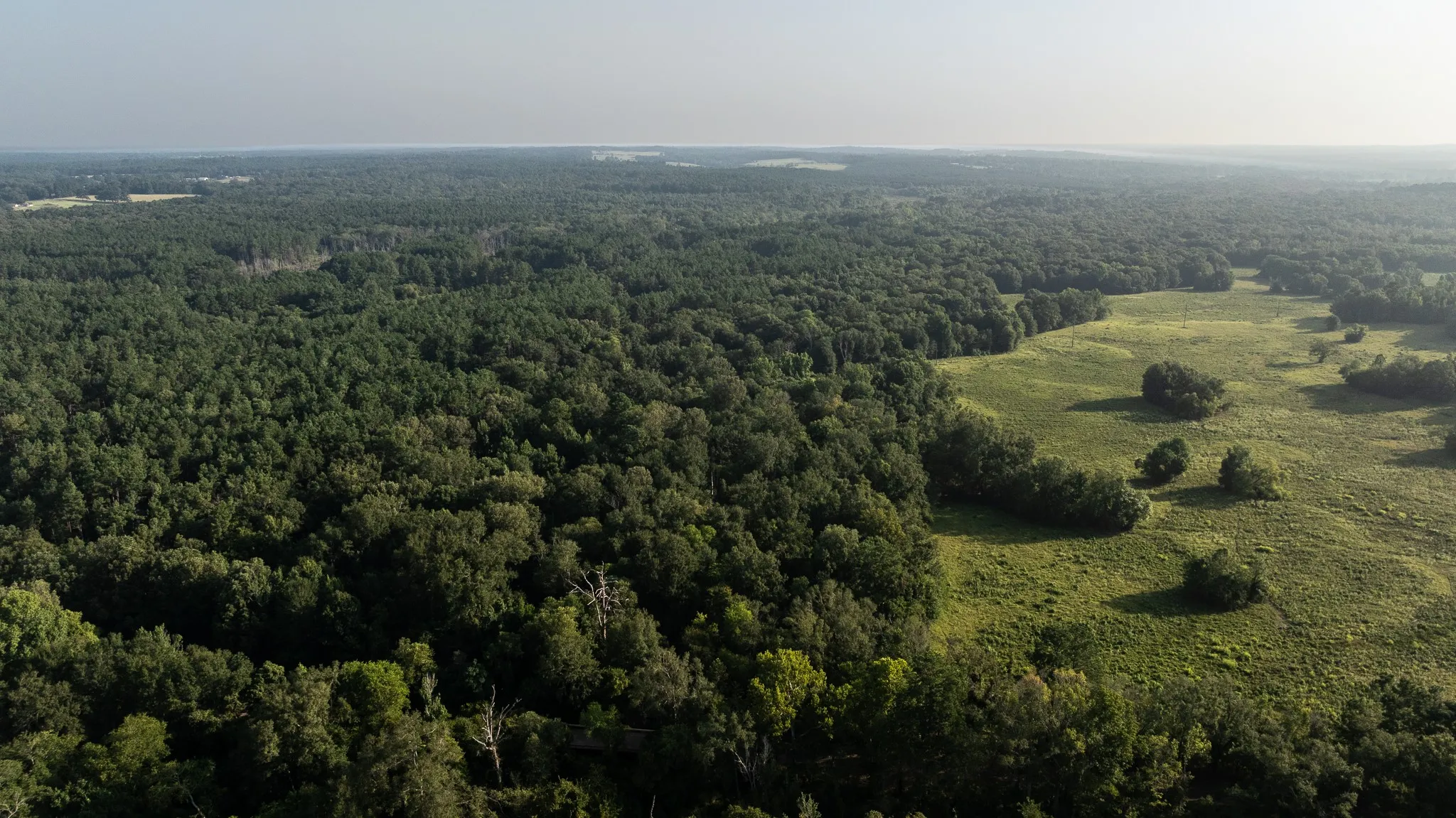Farm For Sale in Rusk County , TBD Cr 461, Laneville, Texas 75667, 1 Bedroom, 2 Bathroom, 1 Garage spaces, 2,000 Sqft, built in 2009, Price $1,600,000, mls#21337099, Real Estate Agent in Laneville, Homes For Sale in Rusk county, Homes For Sale in Laneville, Realtor in Laneville Texas, Real Estate Brokerage Independent Realty Texas, Luminita Cordes Realtor