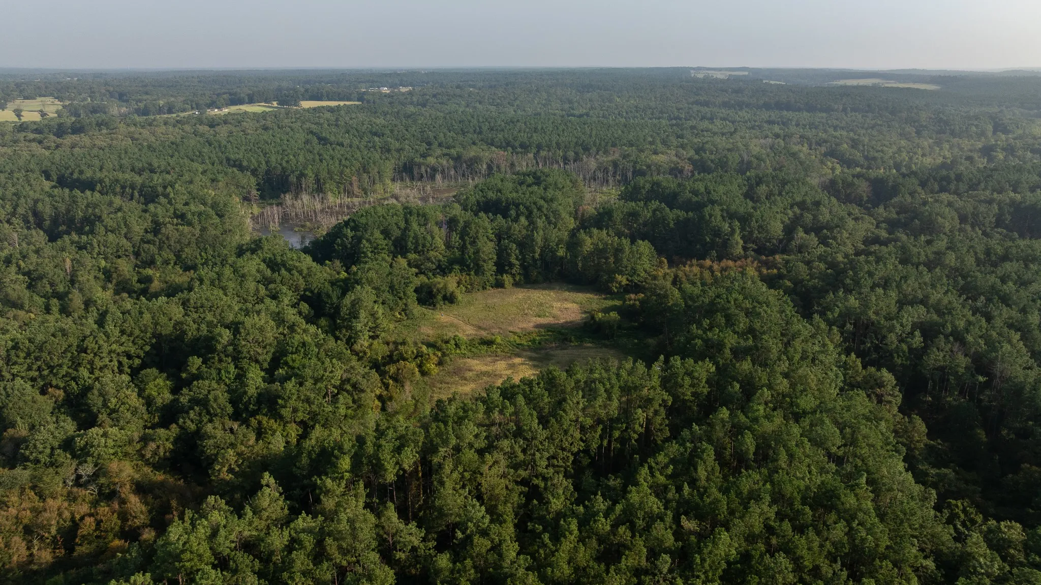 Farm For Sale in Rusk County , TBD Cr 461, Laneville, Texas 75667, 1 Bedroom, 2 Bathroom, 1 Garage spaces, 2,000 Sqft, built in 2009, Price $1,600,000, mls#21337099, Real Estate Agent in Laneville, Homes For Sale in Rusk county, Homes For Sale in Laneville, Realtor in Laneville Texas, Real Estate Brokerage Independent Realty Texas, Luminita Cordes Realtor