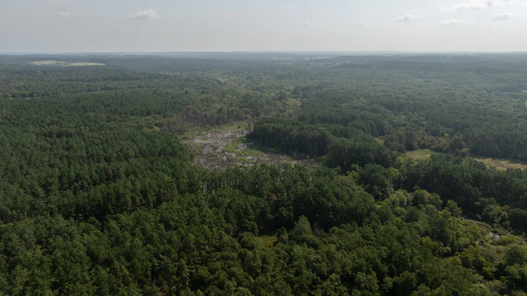 Farm For Sale in Rusk County , TBD Cr 461, Laneville, Texas 75667, 1 Bedroom, 2 Bathroom, 1 Garage spaces, 2,000 Sqft, built in 2009, Price $1,600,000, mls#21337099, Real Estate Agent in Laneville, Homes For Sale in Rusk county, Homes For Sale in Laneville, Realtor in Laneville Texas, Real Estate Brokerage Independent Realty Texas, Luminita Cordes Realtor