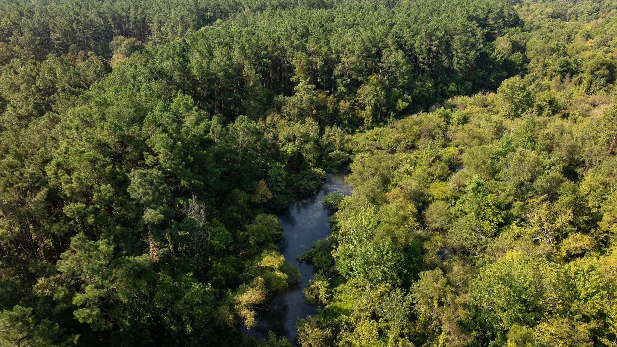 Farm For Sale in Rusk County , TBD Cr 461, Laneville, Texas 75667, 1 Bedroom, 2 Bathroom, 1 Garage spaces, 2,000 Sqft, built in 2009, Price $1,600,000, mls#21337099, Real Estate Agent in Laneville, Homes For Sale in Rusk county, Homes For Sale in Laneville, Realtor in Laneville Texas, Real Estate Brokerage Independent Realty Texas, Luminita Cordes Realtor