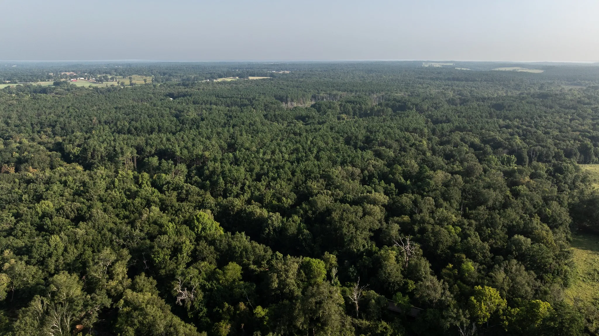 Farm For Sale in Rusk County , TBD Cr 461, Laneville, Texas 75667, 1 Bedroom, 2 Bathroom, 1 Garage spaces, 2,000 Sqft, built in 2009, Price $1,600,000, mls#21337099, Real Estate Agent in Laneville, Homes For Sale in Rusk county, Homes For Sale in Laneville, Realtor in Laneville Texas, Real Estate Brokerage Independent Realty Texas, Luminita Cordes Realtor