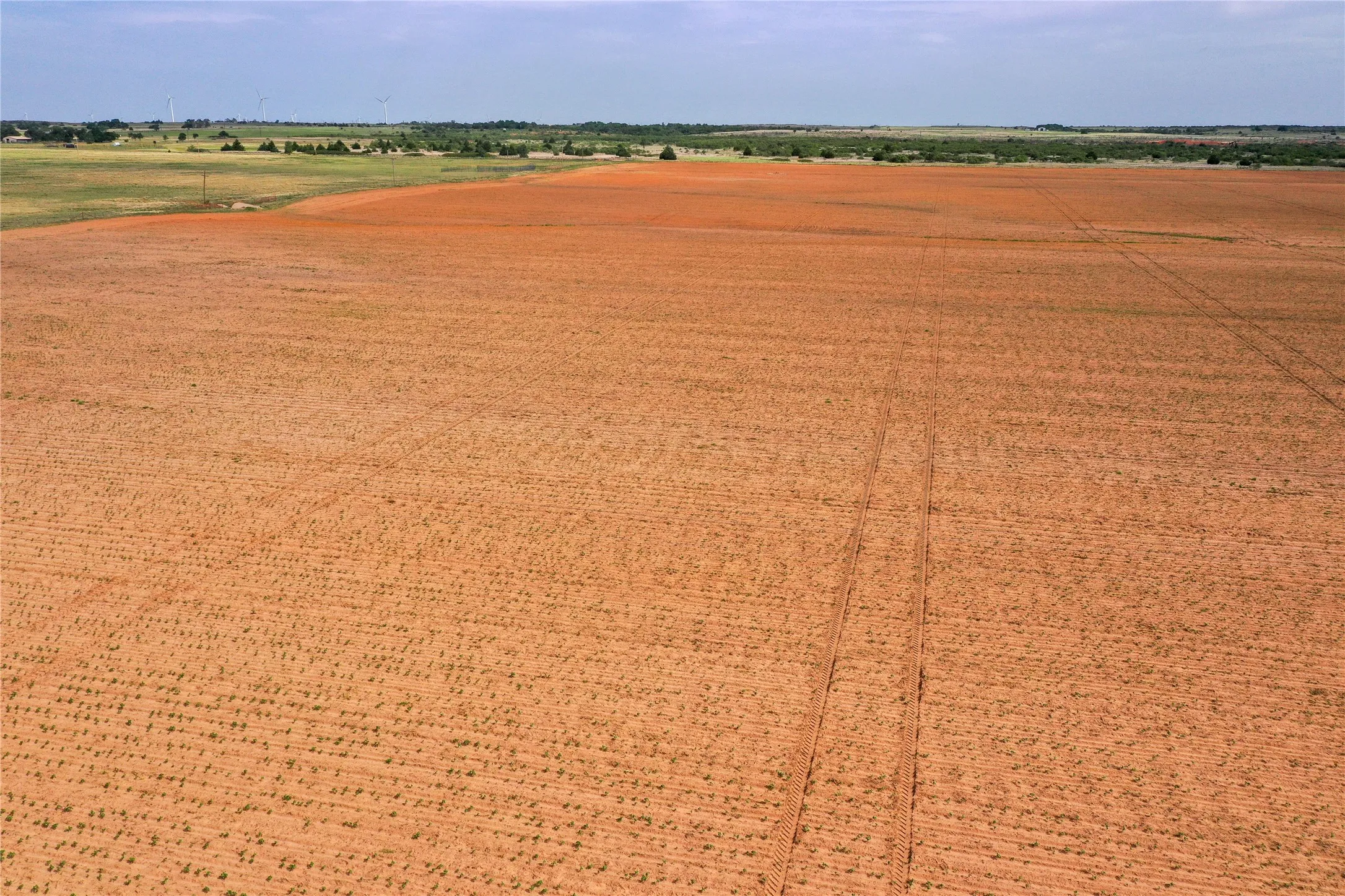 Ranch For Sale in Wilbarger County , 17841 CR 105 N, Vernon, Texas 76384, 0, 0, Garage spaces, 0 Sqft, built in 0, Price $390,000, mls#21359278, Real Estate Agent in Vernon, Homes For Sale in Wilbarger county, Homes For Sale in Vernon, Realtor in Vernon Texas, Real Estate Brokerage Independent Realty Texas, Luminita Cordes Realtor