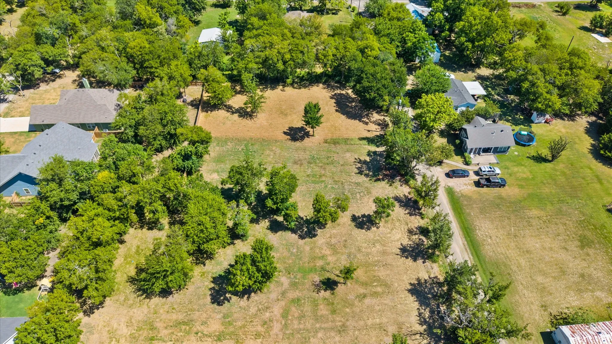 Expansive parcel with scattered trees and a dirt driveway