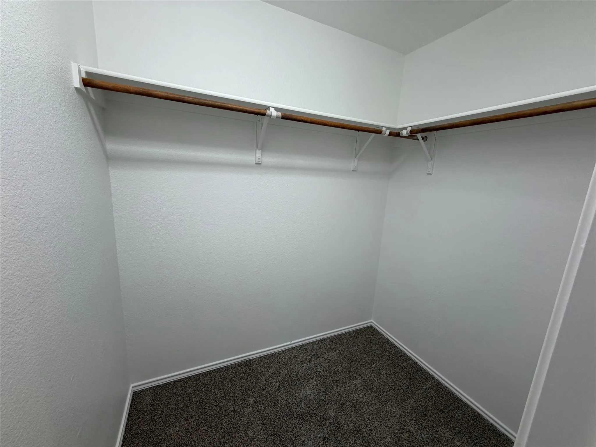 Walk-in closet with carpet flooring, a wood-finish clothing rod, and white wall shelving