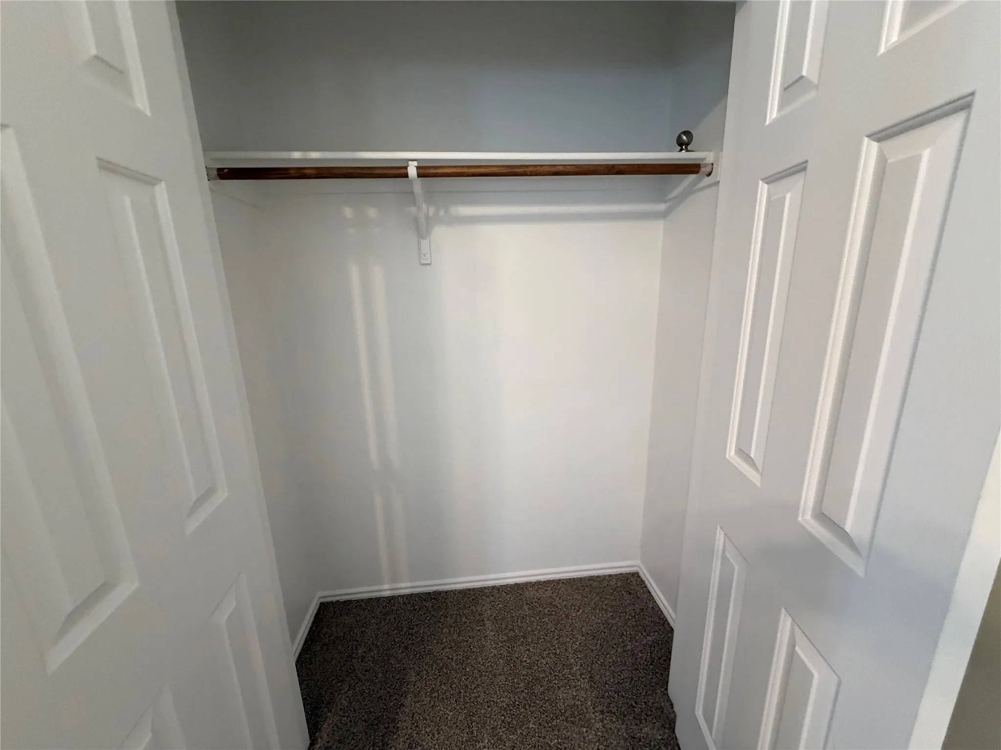 Built-in closet with carpet flooring and an upper storage shelf