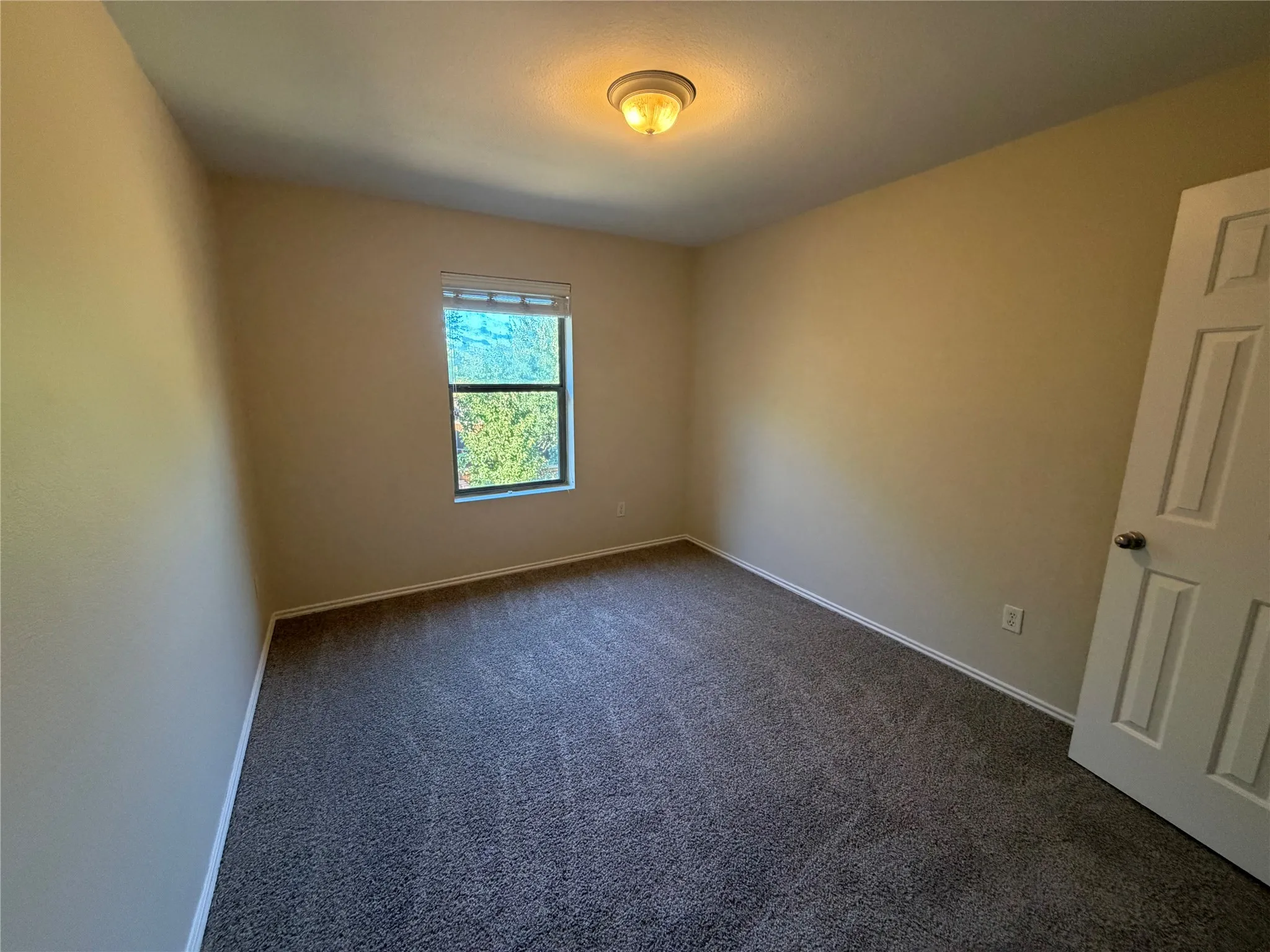 Neutral wall tones, gray carpet flooring, white trim, single window, and flush mount ceiling light