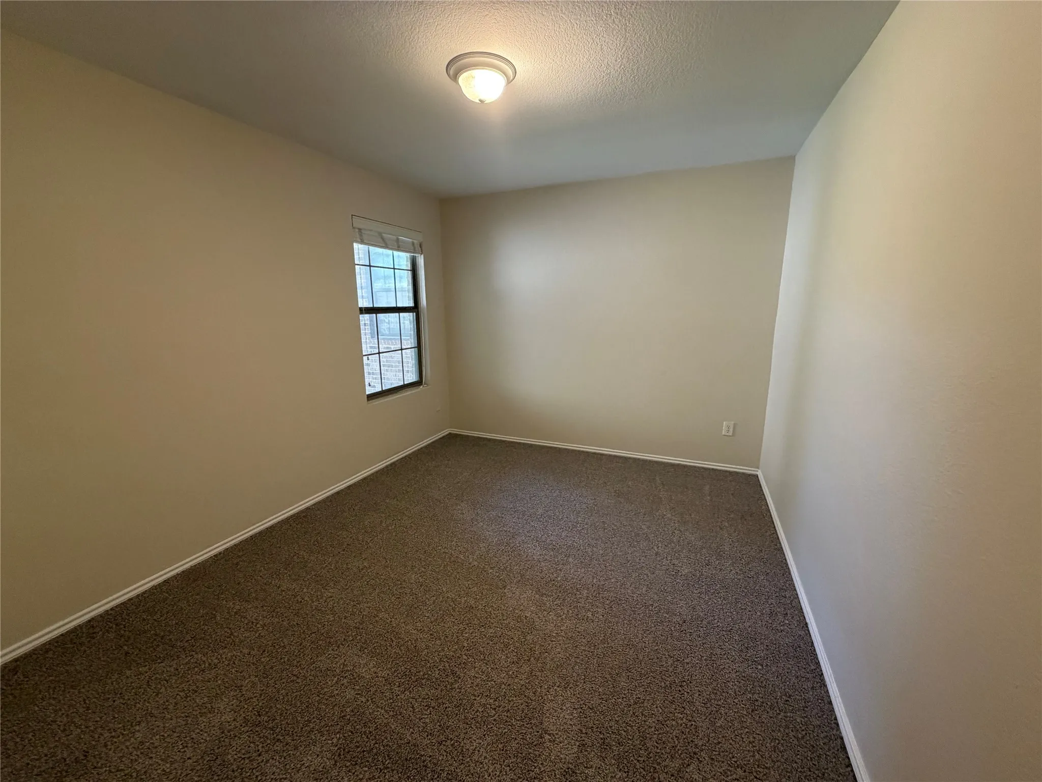 Neutral wall tones with textured carpeting