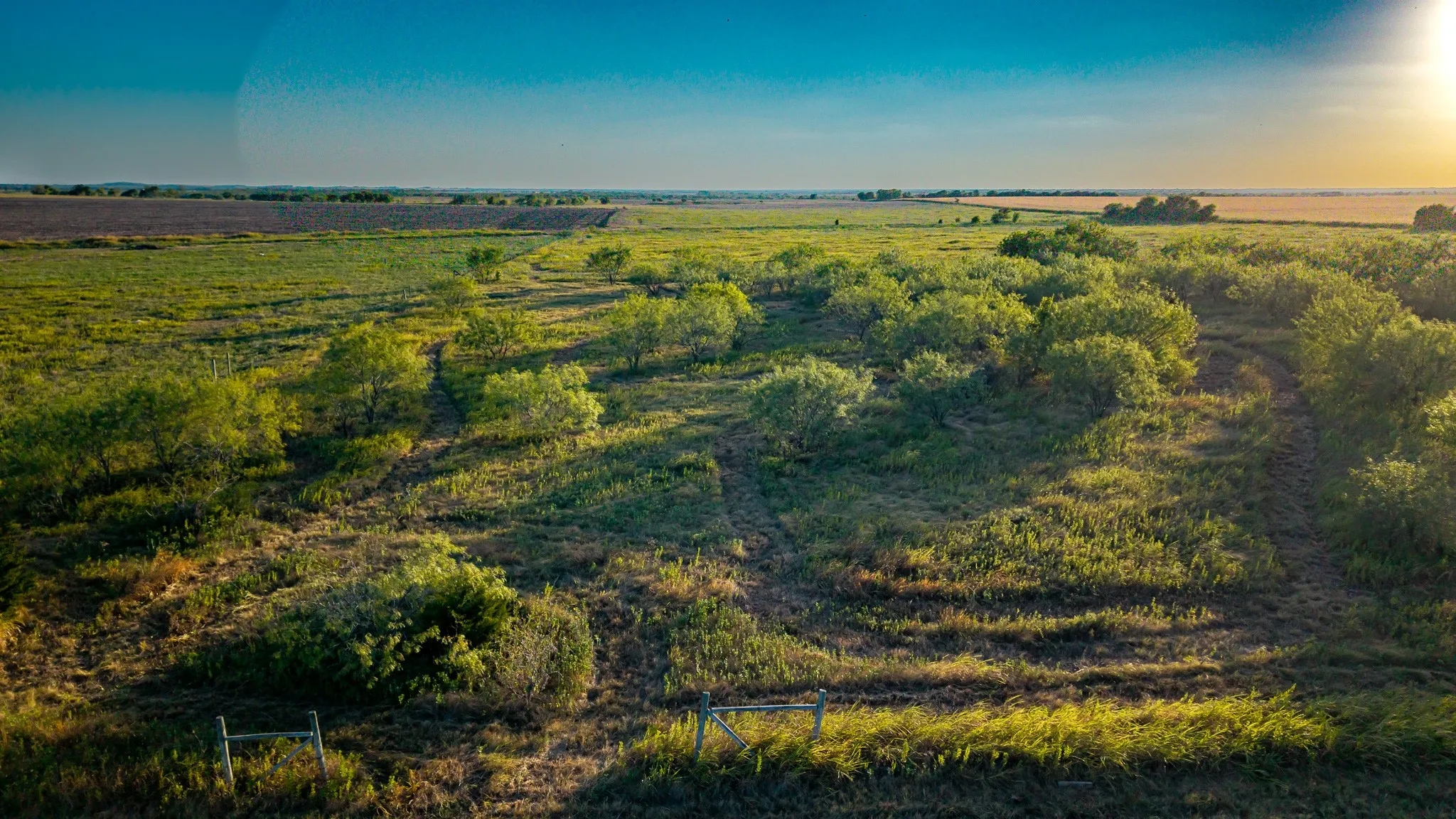 Unimproved Land For Sale in Ellis County , 0000 FM 984, Avalon, Texas 76623, 0, 0, Garage spaces, 0 Sqft, built in 0, mls#21358676, Real Estate Agent in Avalon, Homes For Sale in Ellis county, Homes For Sale in Avalon, Realtor in Avalon Texas, Real Estate Brokerage Independent Realty Texas, Luminita Cordes Realtor