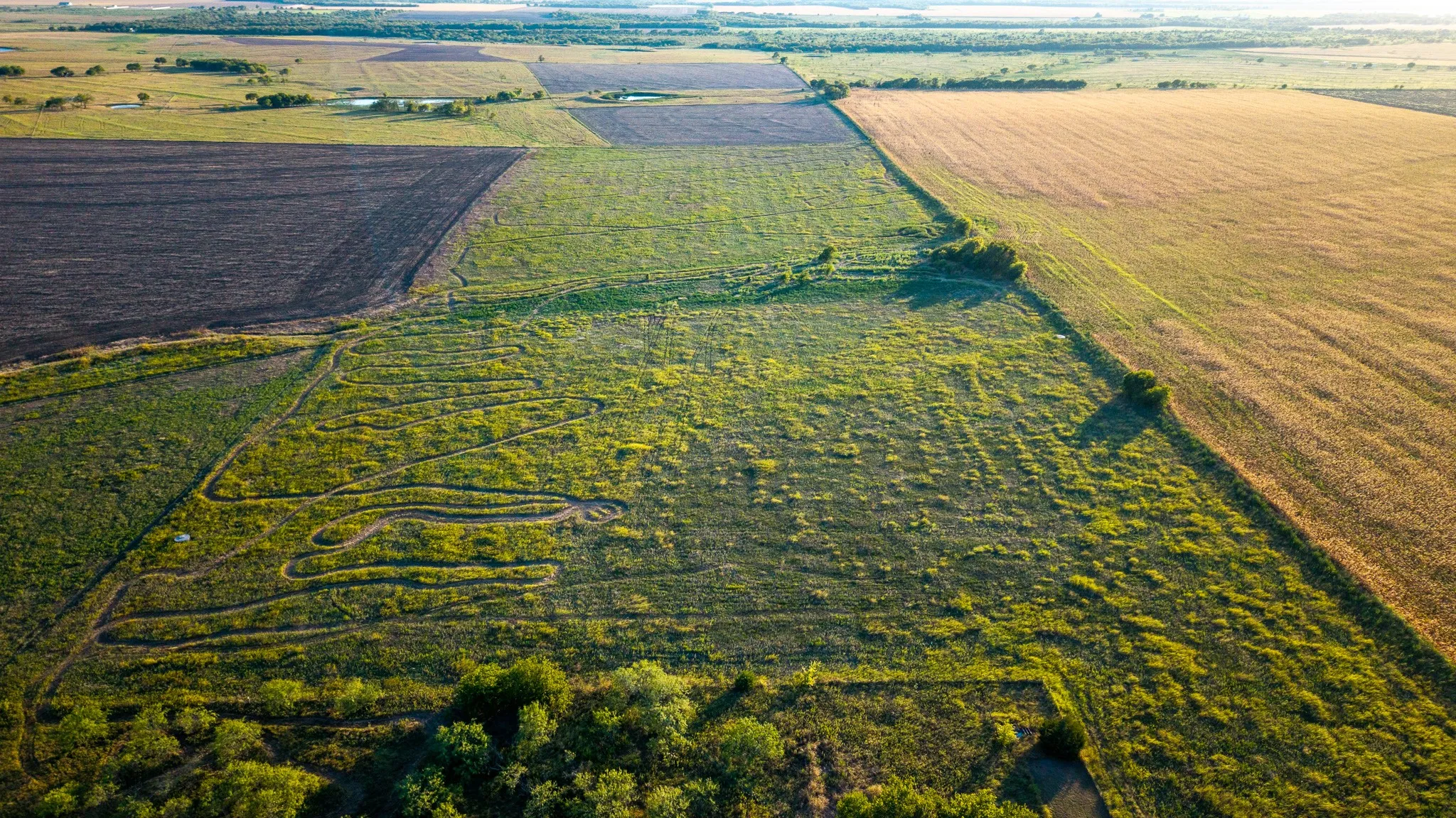 Unimproved Land For Sale in Ellis County , 0000 FM 984, Avalon, Texas 76623, 0, 0, Garage spaces, 0 Sqft, built in 0, mls#21358676, Real Estate Agent in Avalon, Homes For Sale in Ellis county, Homes For Sale in Avalon, Realtor in Avalon Texas, Real Estate Brokerage Independent Realty Texas, Luminita Cordes Realtor