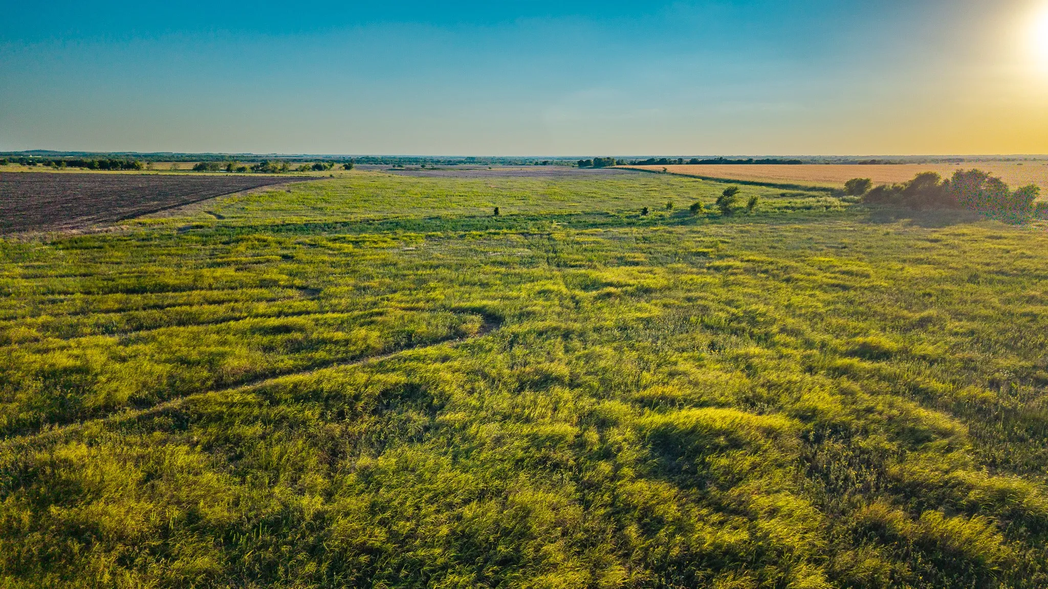 Unimproved Land For Sale in Ellis County , 0000 FM 984, Avalon, Texas 76623, 0, 0, Garage spaces, 0 Sqft, built in 0, mls#21358676, Real Estate Agent in Avalon, Homes For Sale in Ellis county, Homes For Sale in Avalon, Realtor in Avalon Texas, Real Estate Brokerage Independent Realty Texas, Luminita Cordes Realtor