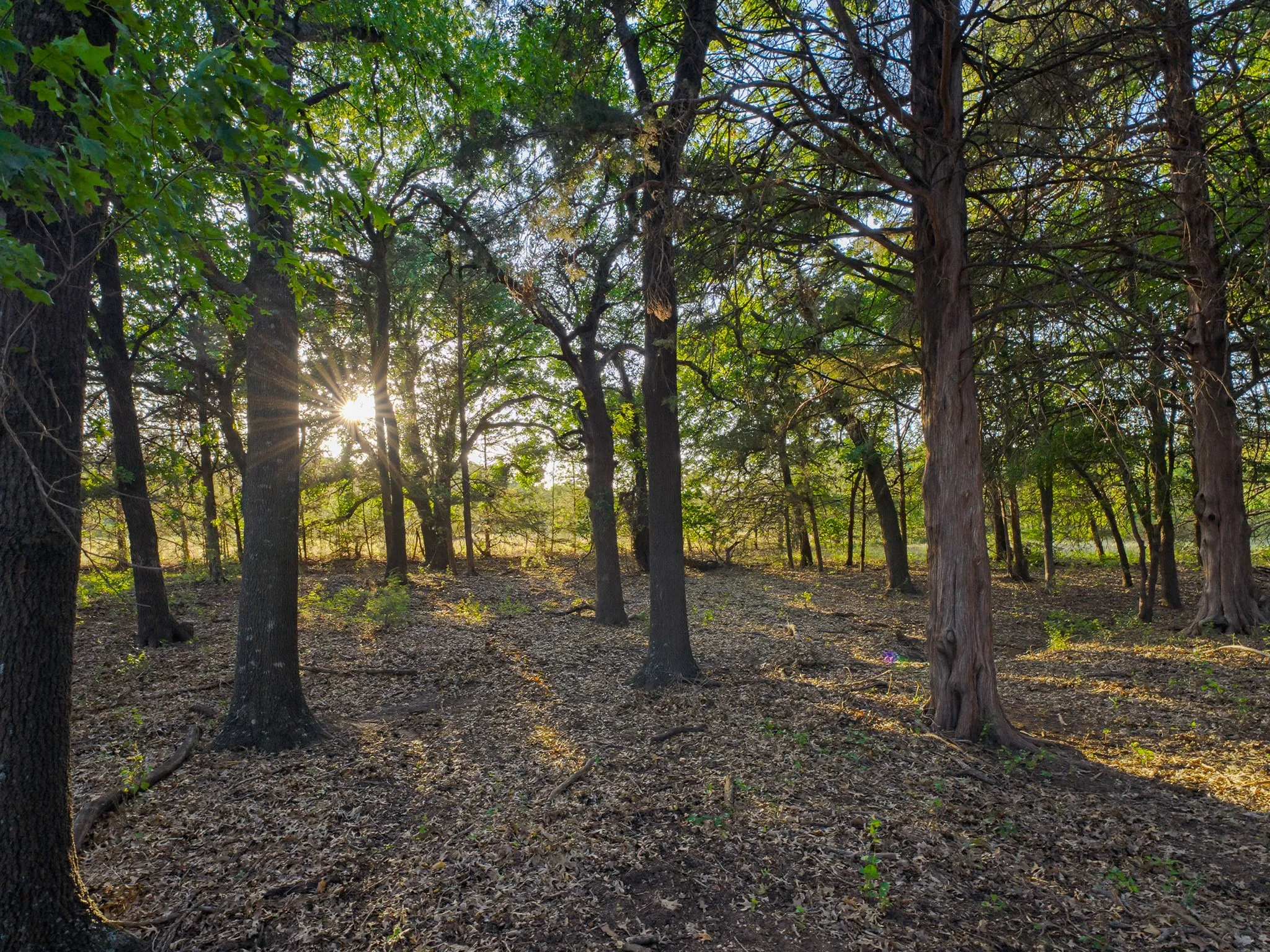 Single Family Residence For Sale in Wise County , 2403 County Road 2224, Decatur, Texas 76234, 3 Bedroom, 3 Bathroom, Garage spaces, 2,122 Sqft, built in 1970, mls#21358677, Real Estate Agent in Decatur, Homes For Sale in Wise county, Homes For Sale in Decatur, Realtor in Decatur Texas, Real Estate Brokerage Independent Realty Texas, Luminita Cordes Realtor