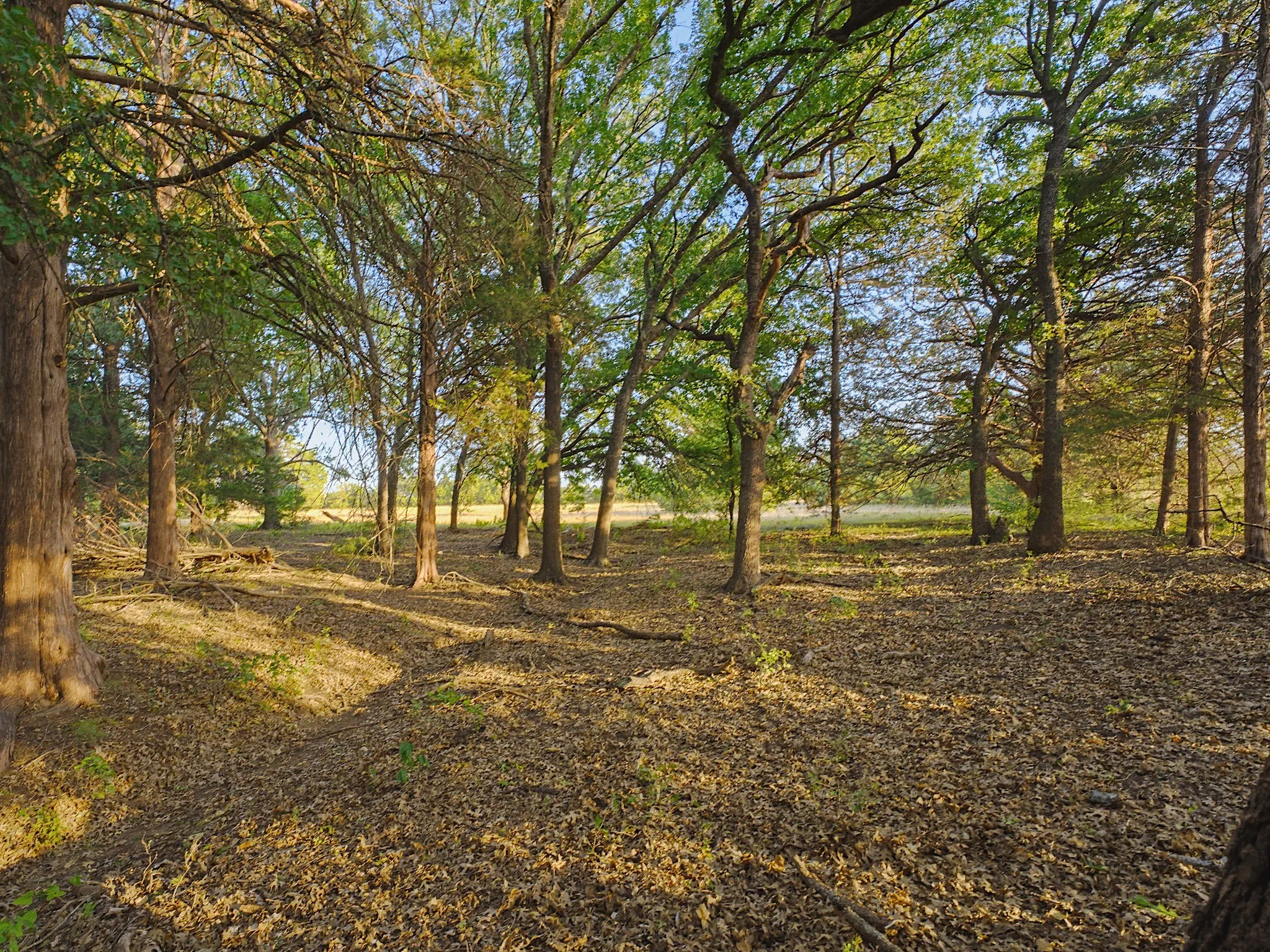 Single Family Residence For Sale in Wise County , 2403 County Road 2224, Decatur, Texas 76234, 3 Bedroom, 3 Bathroom, Garage spaces, 2,122 Sqft, built in 1970, mls#21358677, Real Estate Agent in Decatur, Homes For Sale in Wise county, Homes For Sale in Decatur, Realtor in Decatur Texas, Real Estate Brokerage Independent Realty Texas, Luminita Cordes Realtor
