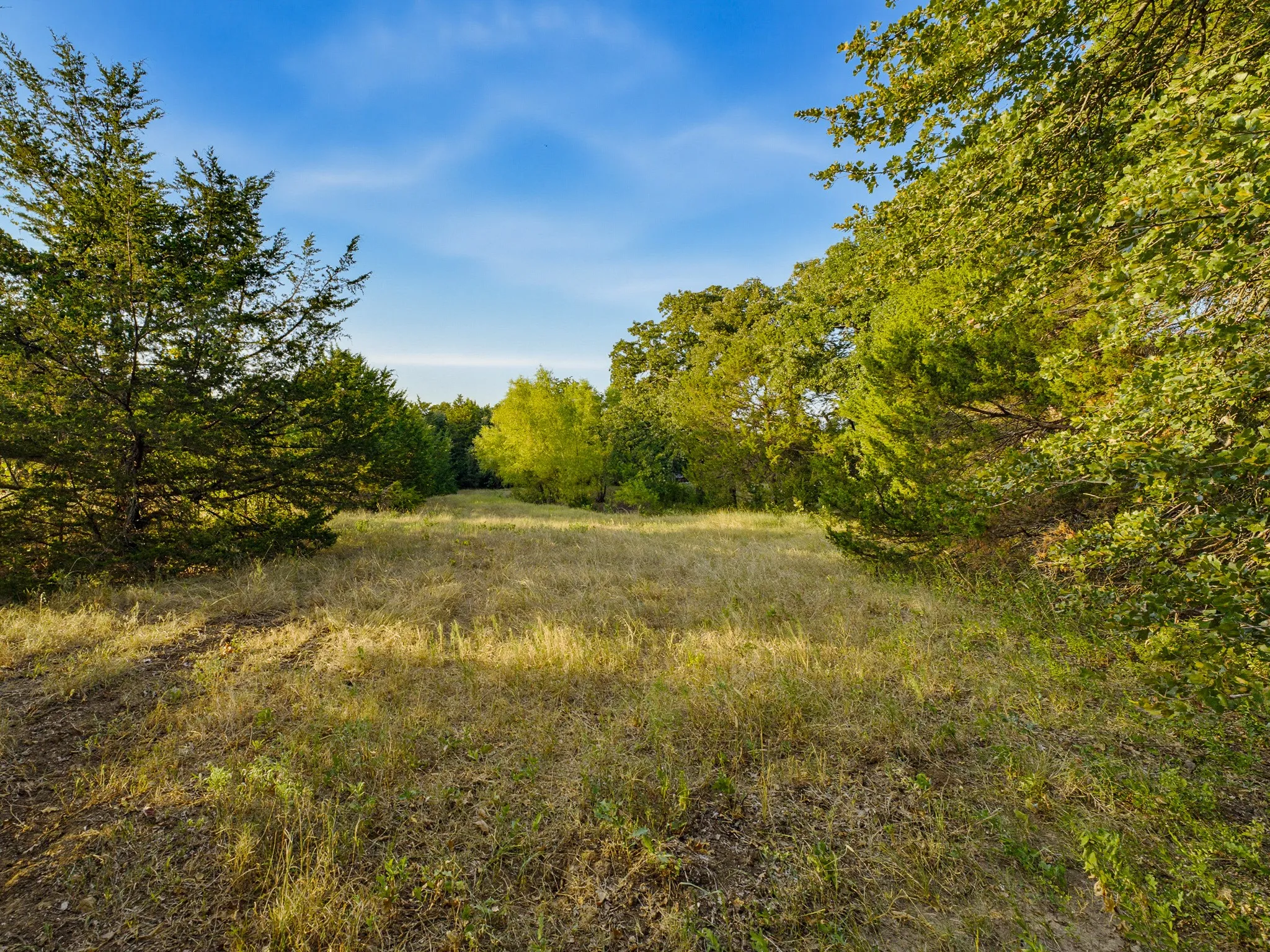 Single Family Residence For Sale in Wise County , 2403 County Road 2224, Decatur, Texas 76234, 3 Bedroom, 3 Bathroom, Garage spaces, 2,122 Sqft, built in 1970, mls#21358677, Real Estate Agent in Decatur, Homes For Sale in Wise county, Homes For Sale in Decatur, Realtor in Decatur Texas, Real Estate Brokerage Independent Realty Texas, Luminita Cordes Realtor