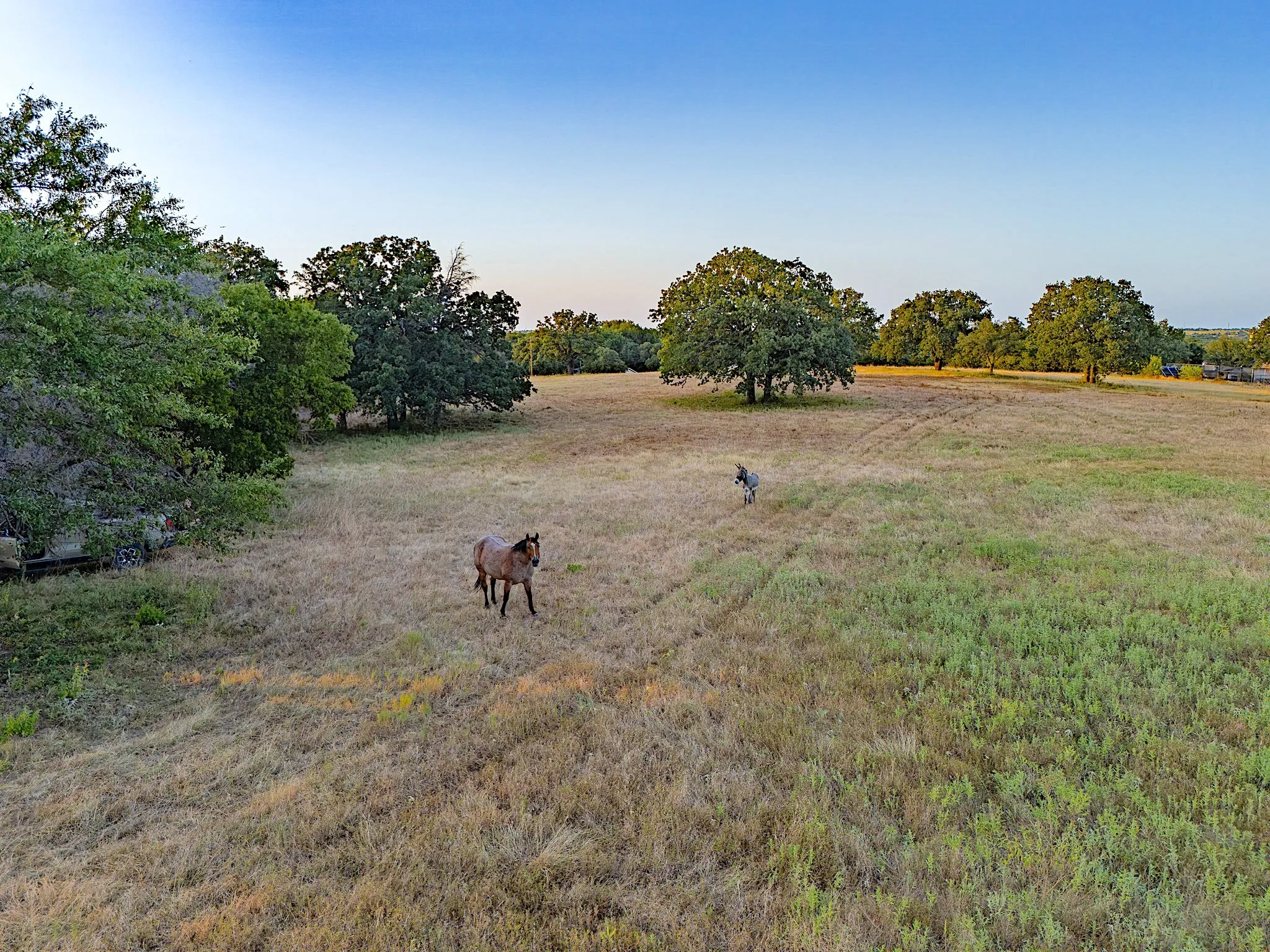 Single Family Residence For Sale in Wise County , 2403 County Road 2224, Decatur, Texas 76234, 3 Bedroom, 3 Bathroom, Garage spaces, 2,122 Sqft, built in 1970, mls#21358677, Real Estate Agent in Decatur, Homes For Sale in Wise county, Homes For Sale in Decatur, Realtor in Decatur Texas, Real Estate Brokerage Independent Realty Texas, Luminita Cordes Realtor