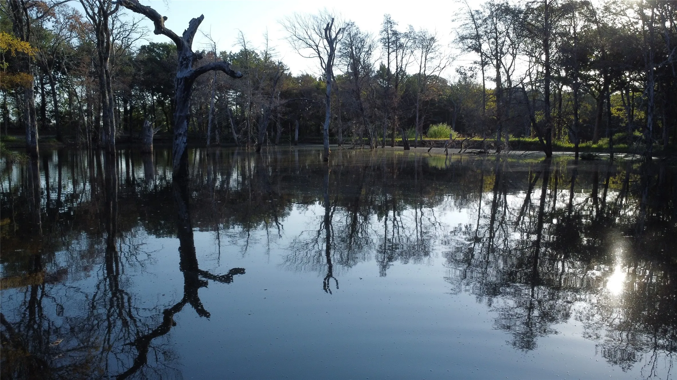 Ranch For Sale in Grayson County , 118 Dickey Road, Sadler, Texas 76264, 0, 0, Garage spaces, 0 Sqft, built in 0, mls#21359350, Real Estate Agent in Sadler, Homes For Sale in Grayson county, Homes For Sale in Sadler, Realtor in Sadler Texas, Real Estate Brokerage Independent Realty Texas, Luminita Cordes Realtor