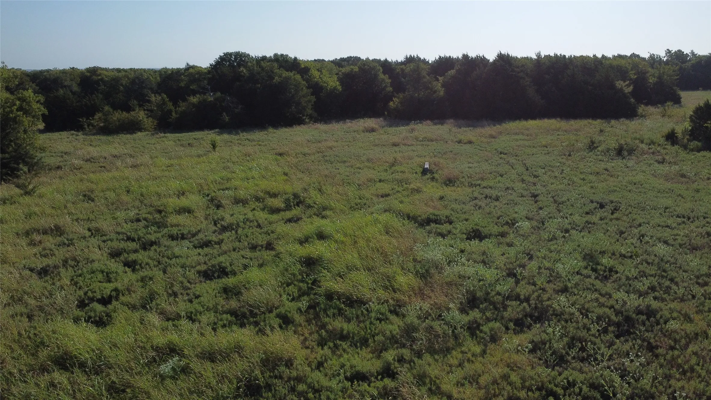 Ranch For Sale in Grayson County , 118 Dickey Road, Sadler, Texas 76264, 0, 0, Garage spaces, 0 Sqft, built in 0, mls#21359350, Real Estate Agent in Sadler, Homes For Sale in Grayson county, Homes For Sale in Sadler, Realtor in Sadler Texas, Real Estate Brokerage Independent Realty Texas, Luminita Cordes Realtor