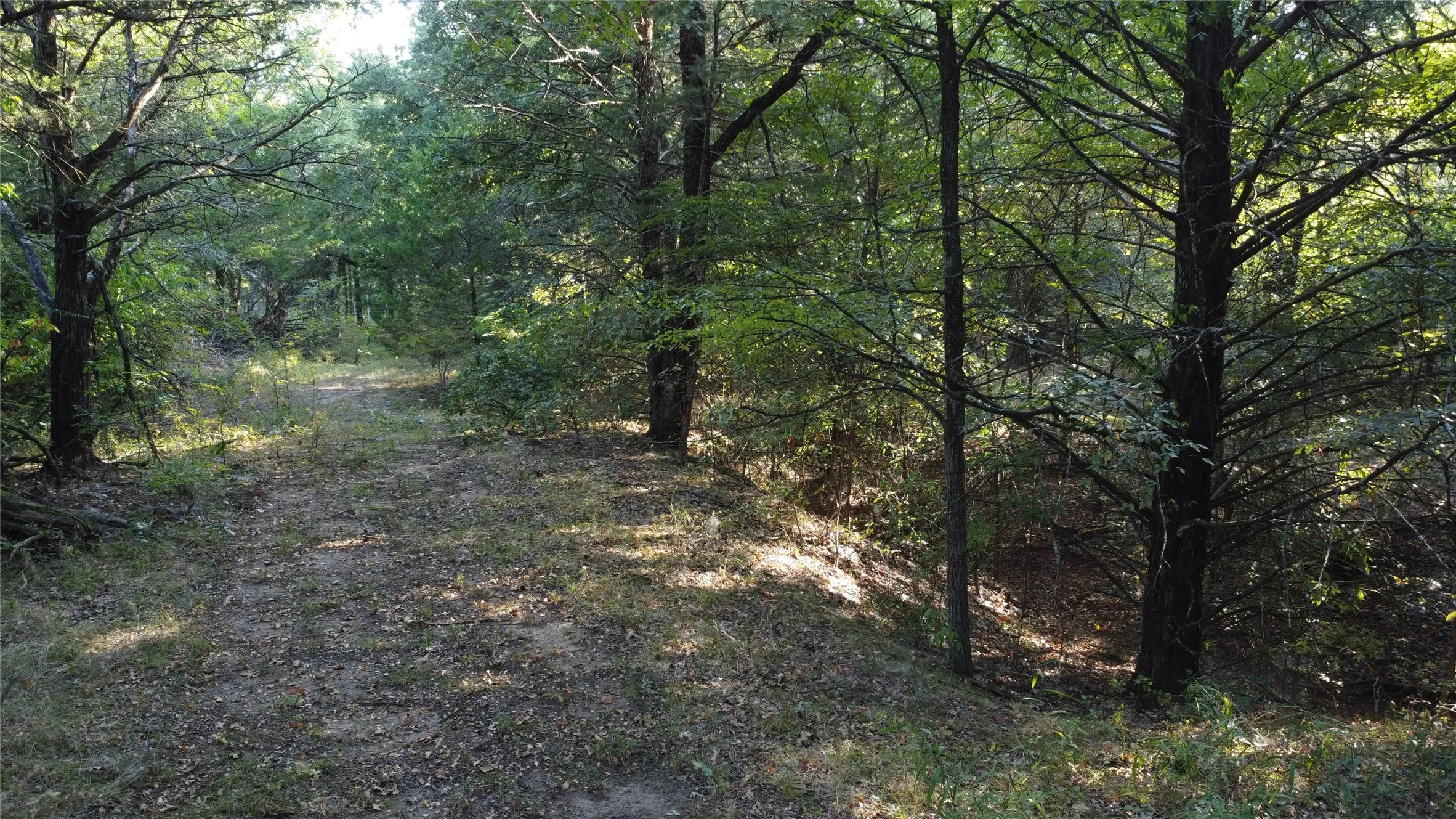 Ranch For Sale in Grayson County , 118 Dickey Road, Sadler, Texas 76264, 0, 0, Garage spaces, 0 Sqft, built in 0, mls#21359350, Real Estate Agent in Sadler, Homes For Sale in Grayson county, Homes For Sale in Sadler, Realtor in Sadler Texas, Real Estate Brokerage Independent Realty Texas, Luminita Cordes Realtor
