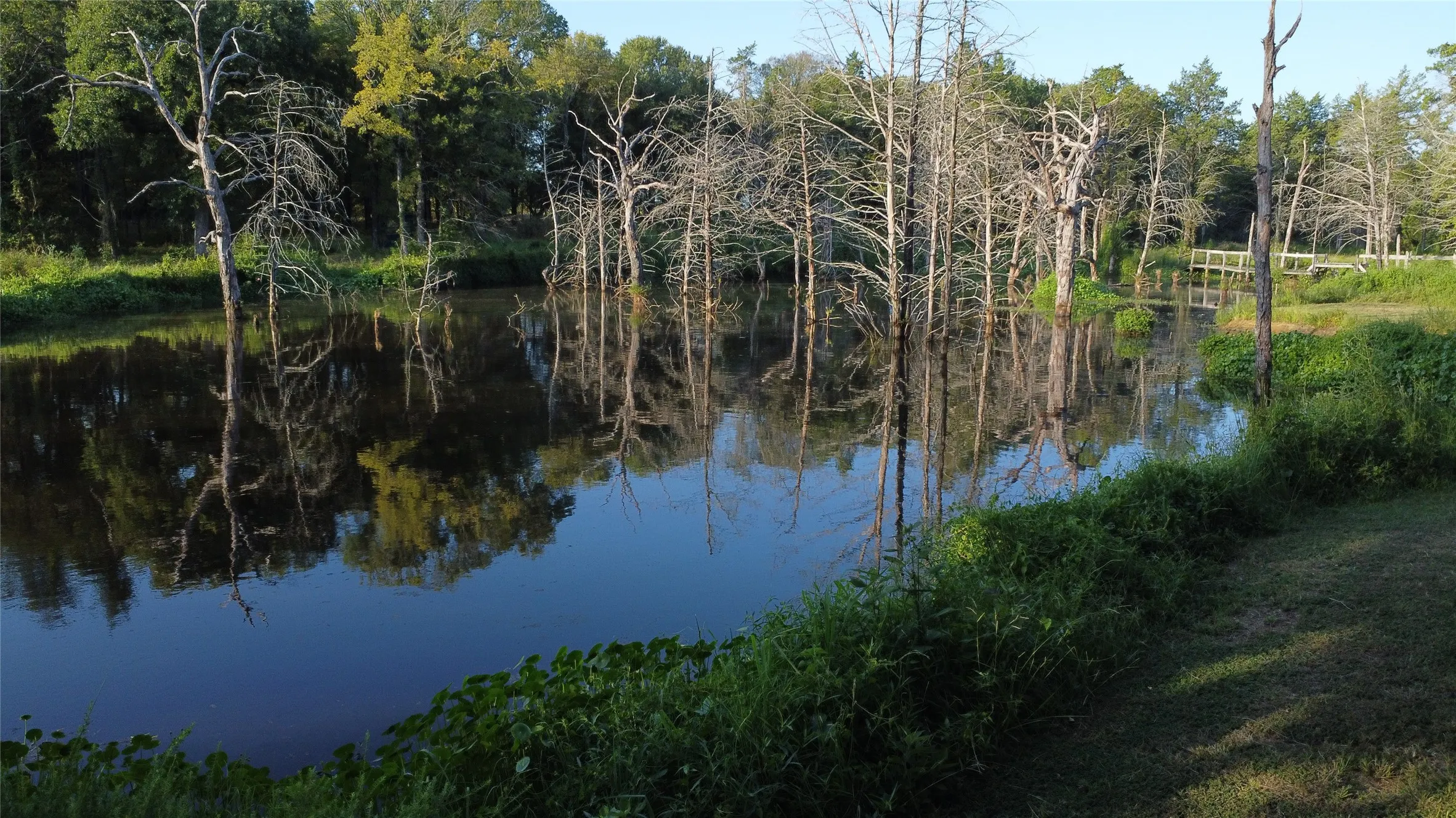 Ranch For Sale in Grayson County , 118 Dickey Road, Sadler, Texas 76264, 0, 0, Garage spaces, 0 Sqft, built in 0, mls#21359350, Real Estate Agent in Sadler, Homes For Sale in Grayson county, Homes For Sale in Sadler, Realtor in Sadler Texas, Real Estate Brokerage Independent Realty Texas, Luminita Cordes Realtor