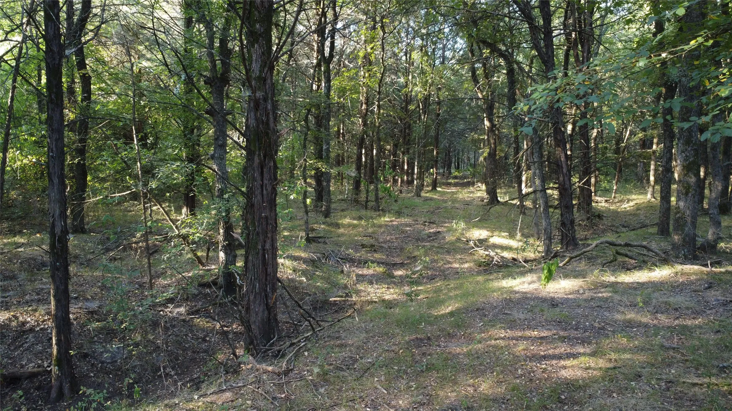 Ranch For Sale in Grayson County , 118 Dickey Road, Sadler, Texas 76264, 0, 0, Garage spaces, 0 Sqft, built in 0, mls#21359350, Real Estate Agent in Sadler, Homes For Sale in Grayson county, Homes For Sale in Sadler, Realtor in Sadler Texas, Real Estate Brokerage Independent Realty Texas, Luminita Cordes Realtor