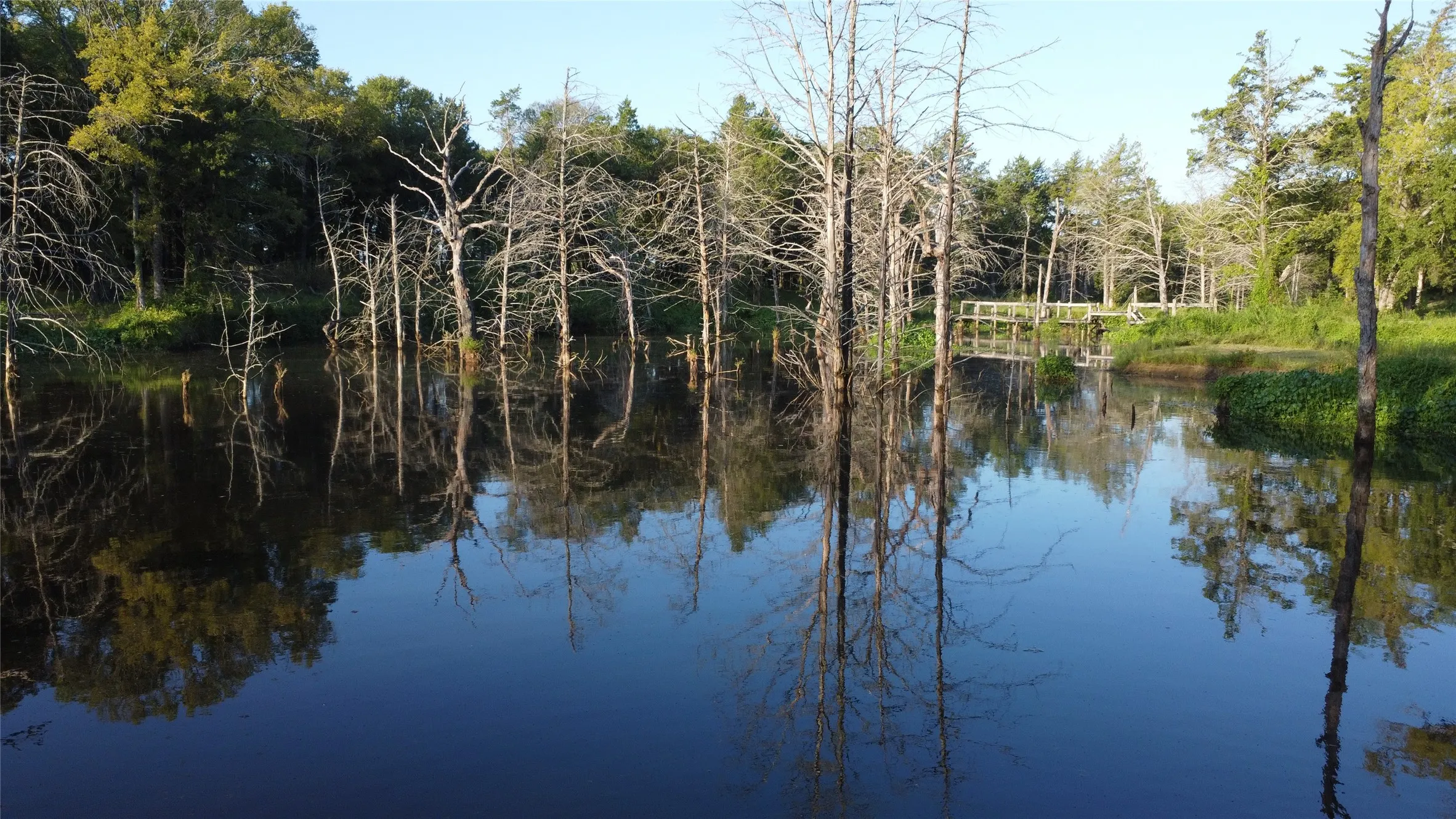 Ranch For Sale in Grayson County , 118 Dickey Road, Sadler, Texas 76264, 0, 0, Garage spaces, 0 Sqft, built in 0, mls#21359350, Real Estate Agent in Sadler, Homes For Sale in Grayson county, Homes For Sale in Sadler, Realtor in Sadler Texas, Real Estate Brokerage Independent Realty Texas, Luminita Cordes Realtor