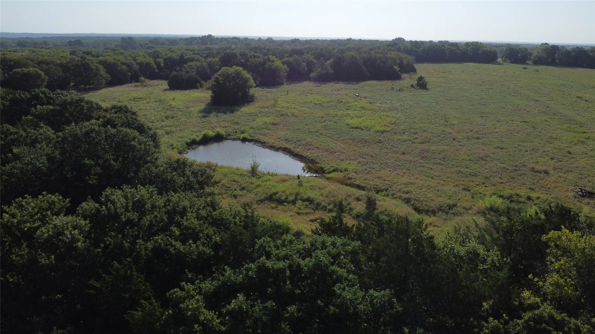 Ranch For Sale in Grayson County , 118 Dickey Road, Sadler, Texas 76264, 0, 0, Garage spaces, 0 Sqft, built in 0, mls#21359350, Real Estate Agent in Sadler, Homes For Sale in Grayson county, Homes For Sale in Sadler, Realtor in Sadler Texas, Real Estate Brokerage Independent Realty Texas, Luminita Cordes Realtor