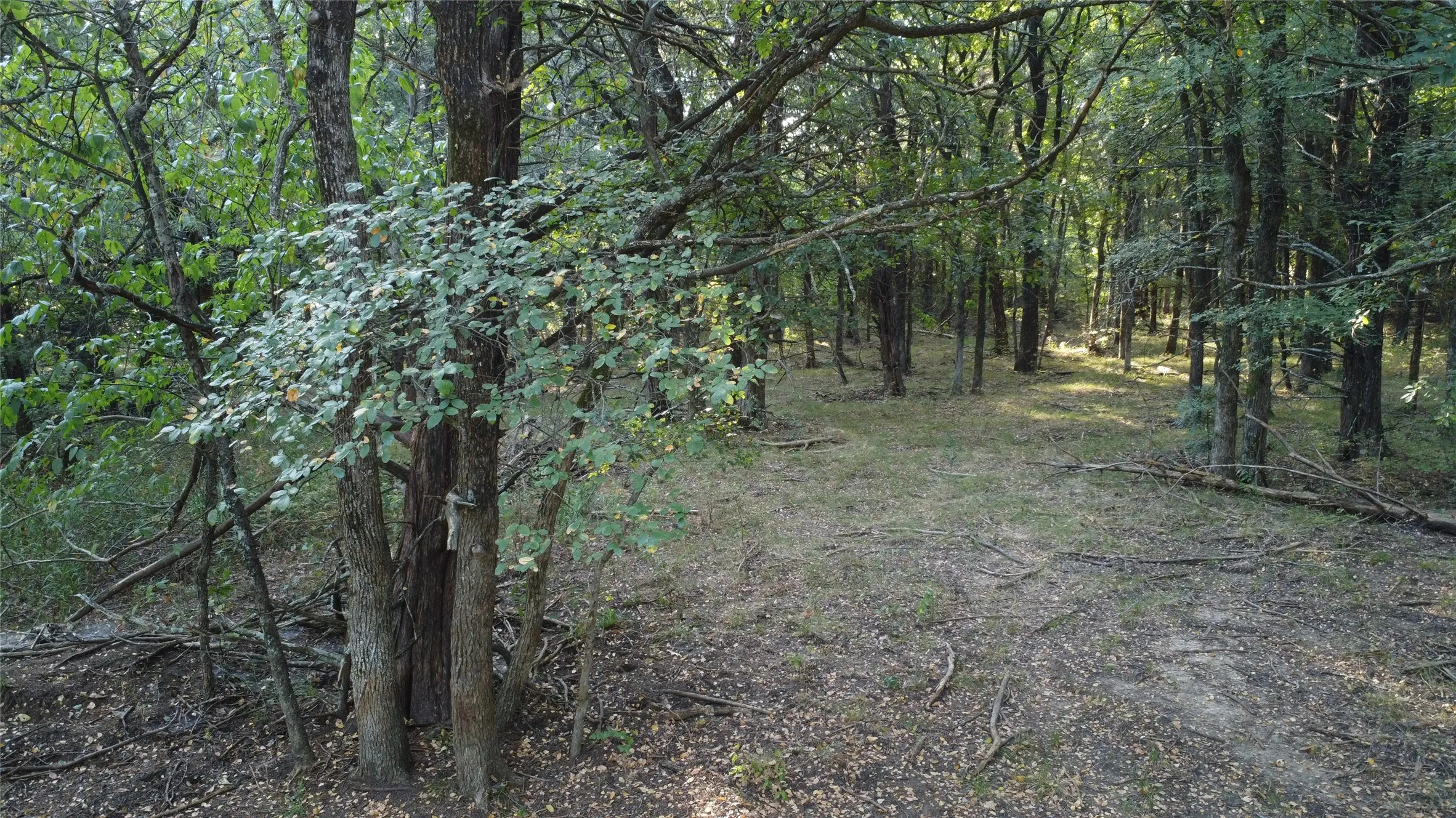 Ranch For Sale in Grayson County , 118 Dickey Road, Sadler, Texas 76264, 0, 0, Garage spaces, 0 Sqft, built in 0, mls#21359350, Real Estate Agent in Sadler, Homes For Sale in Grayson county, Homes For Sale in Sadler, Realtor in Sadler Texas, Real Estate Brokerage Independent Realty Texas, Luminita Cordes Realtor