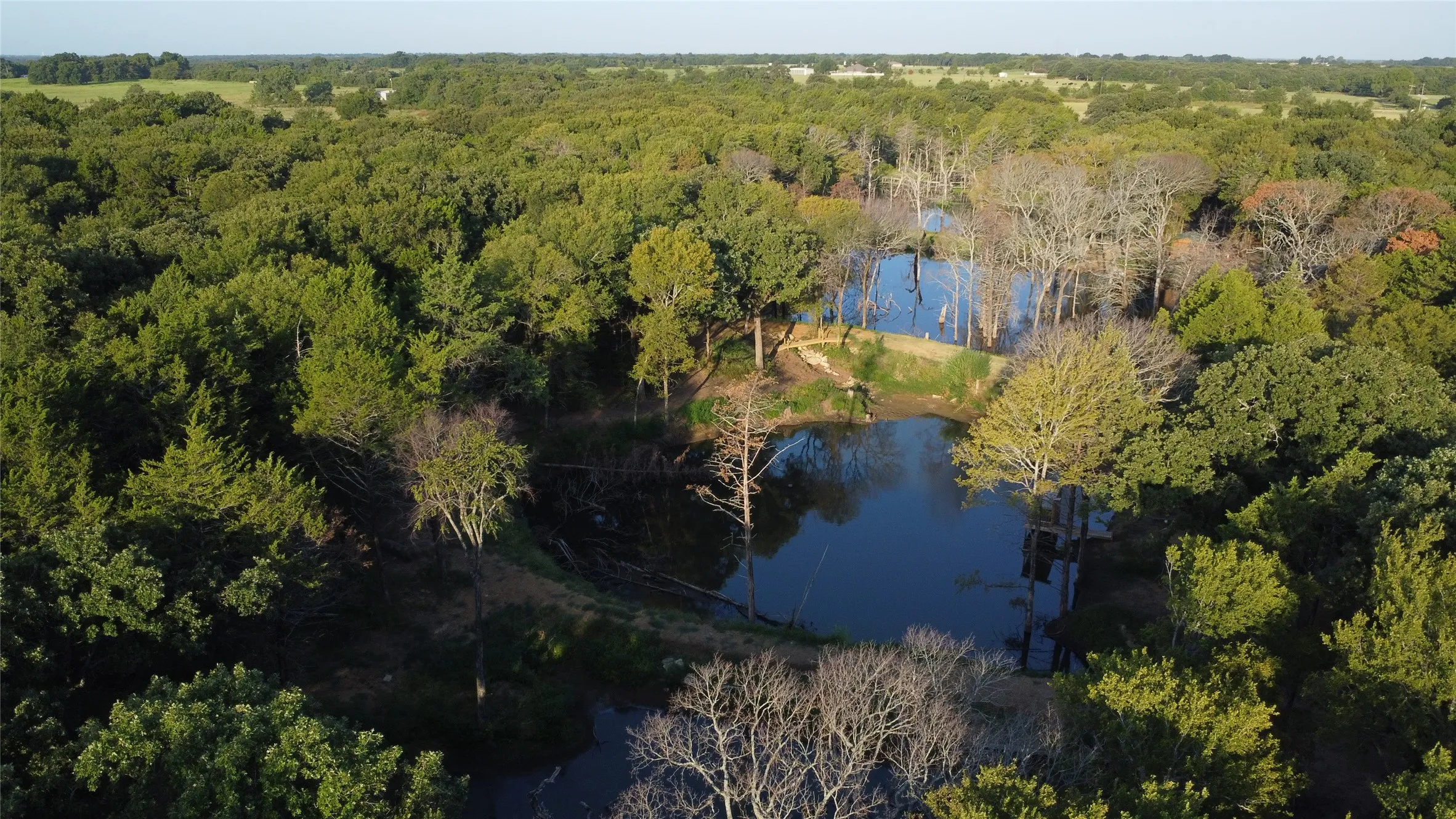 Ranch For Sale in Grayson County , 118 Dickey Road, Sadler, Texas 76264, 0, 0, Garage spaces, 0 Sqft, built in 0, mls#21359350, Real Estate Agent in Sadler, Homes For Sale in Grayson county, Homes For Sale in Sadler, Realtor in Sadler Texas, Real Estate Brokerage Independent Realty Texas, Luminita Cordes Realtor
