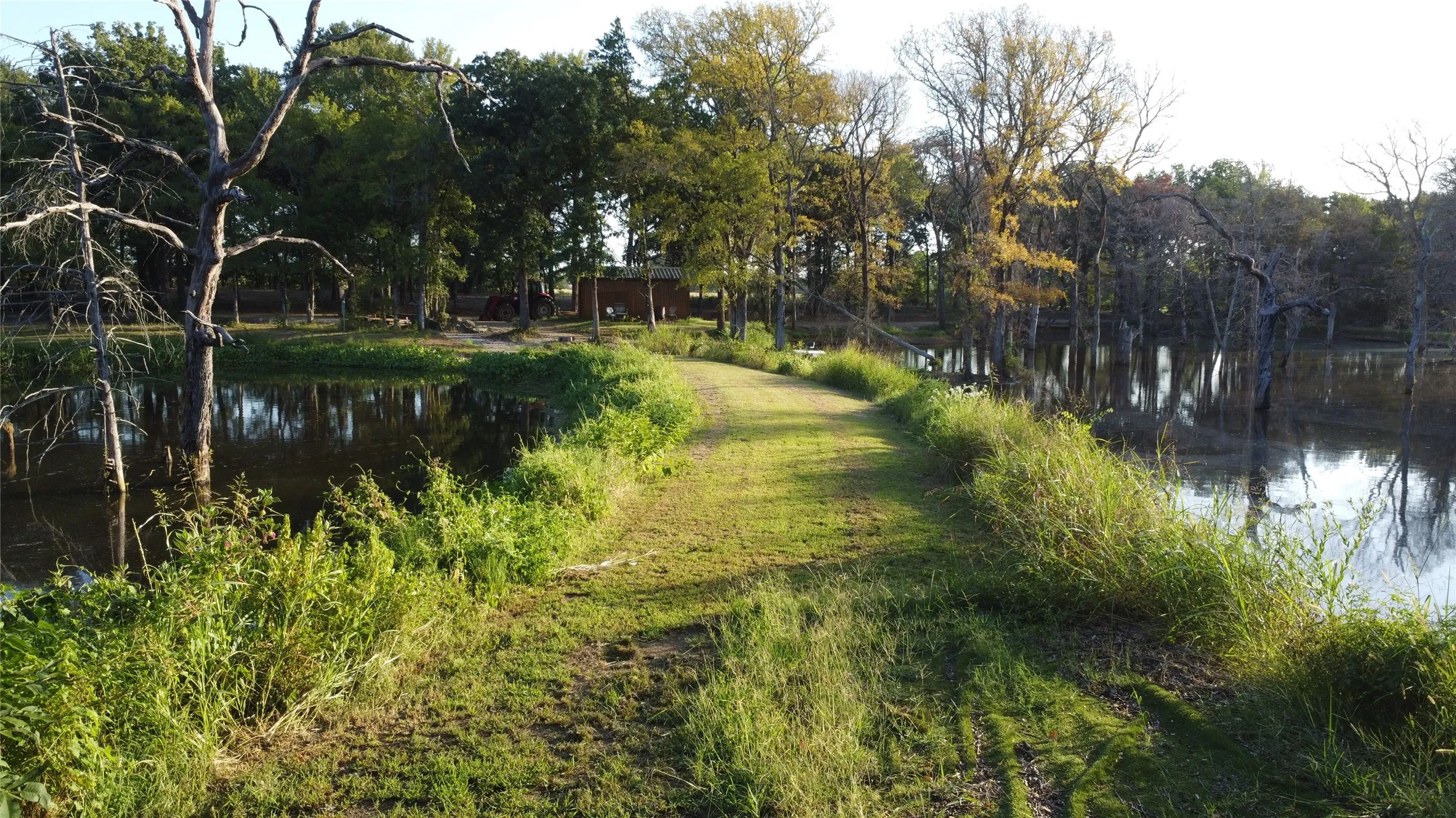 Ranch For Sale in Grayson County , 118 Dickey Road, Sadler, Texas 76264, 0, 0, Garage spaces, 0 Sqft, built in 0, mls#21359350, Real Estate Agent in Sadler, Homes For Sale in Grayson county, Homes For Sale in Sadler, Realtor in Sadler Texas, Real Estate Brokerage Independent Realty Texas, Luminita Cordes Realtor
