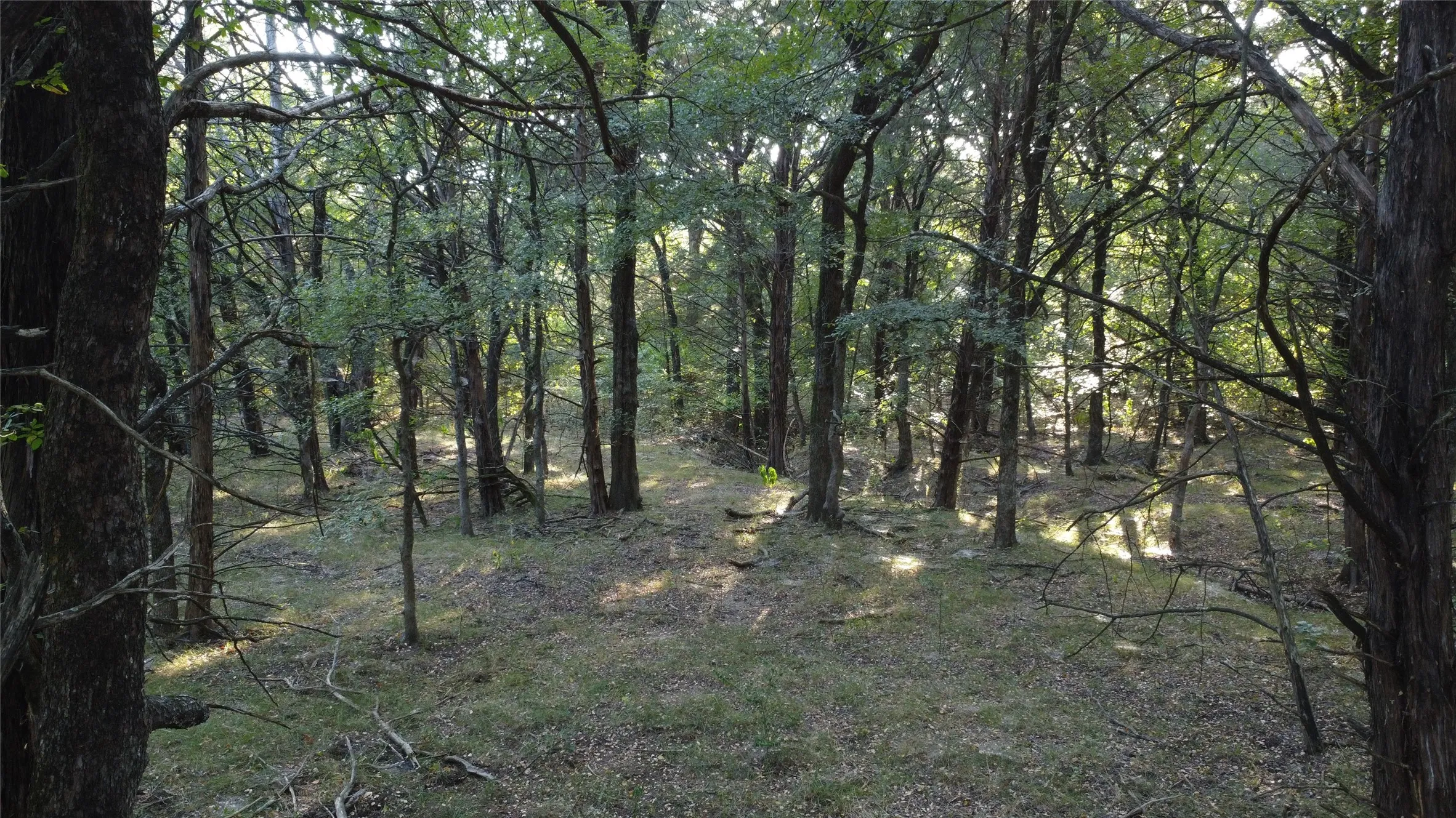 Ranch For Sale in Grayson County , 118 Dickey Road, Sadler, Texas 76264, 0, 0, Garage spaces, 0 Sqft, built in 0, mls#21359350, Real Estate Agent in Sadler, Homes For Sale in Grayson county, Homes For Sale in Sadler, Realtor in Sadler Texas, Real Estate Brokerage Independent Realty Texas, Luminita Cordes Realtor