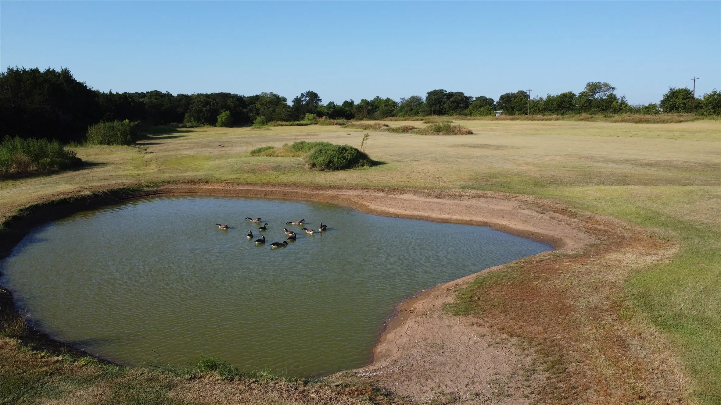 Ranch For Sale in Grayson County , 118 Dickey Road, Sadler, Texas 76264, 0, 0, Garage spaces, 0 Sqft, built in 0, mls#21359350, Real Estate Agent in Sadler, Homes For Sale in Grayson county, Homes For Sale in Sadler, Realtor in Sadler Texas, Real Estate Brokerage Independent Realty Texas, Luminita Cordes Realtor