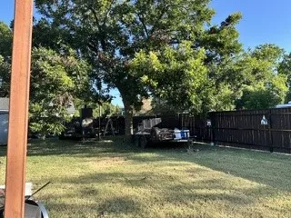 Large shade tree in backyard