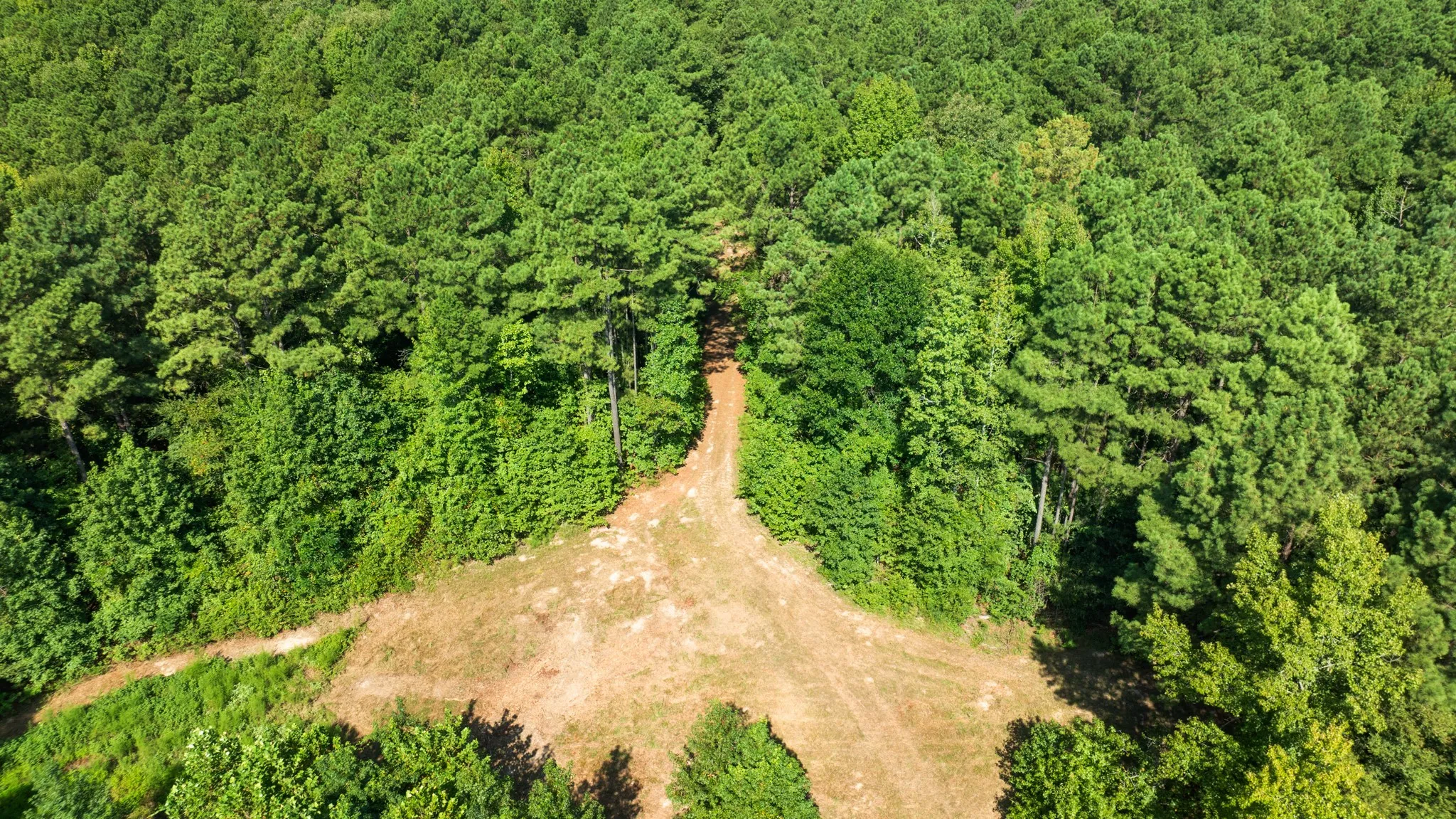 Improved Land For Sale in Red River (TX) County , 75 HWY 37 NORTH, Clarksville, Texas 75426, 0, 0, Garage spaces, 0 Sqft, built in 0, Price $420,000, mls#21358614, Real Estate Agent in Clarksville, Homes For Sale in Red River (TX) county, Homes For Sale in Clarksville, Realtor in Clarksville Texas, Real Estate Brokerage Independent Realty Texas, Luminita Cordes Realtor