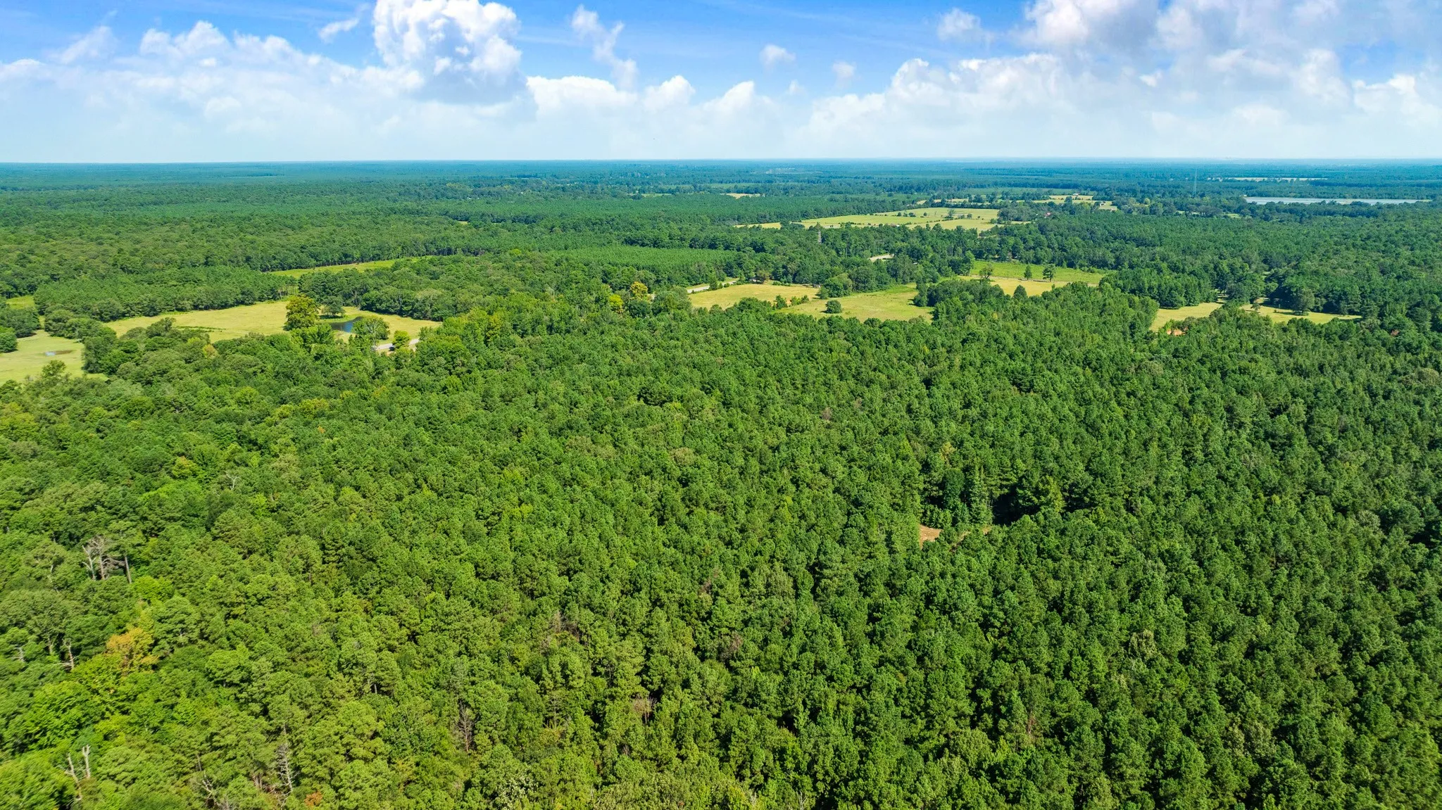 Improved Land For Sale in Red River (TX) County , 75 HWY 37 NORTH, Clarksville, Texas 75426, 0, 0, Garage spaces, 0 Sqft, built in 0, Price $420,000, mls#21358614, Real Estate Agent in Clarksville, Homes For Sale in Red River (TX) county, Homes For Sale in Clarksville, Realtor in Clarksville Texas, Real Estate Brokerage Independent Realty Texas, Luminita Cordes Realtor
